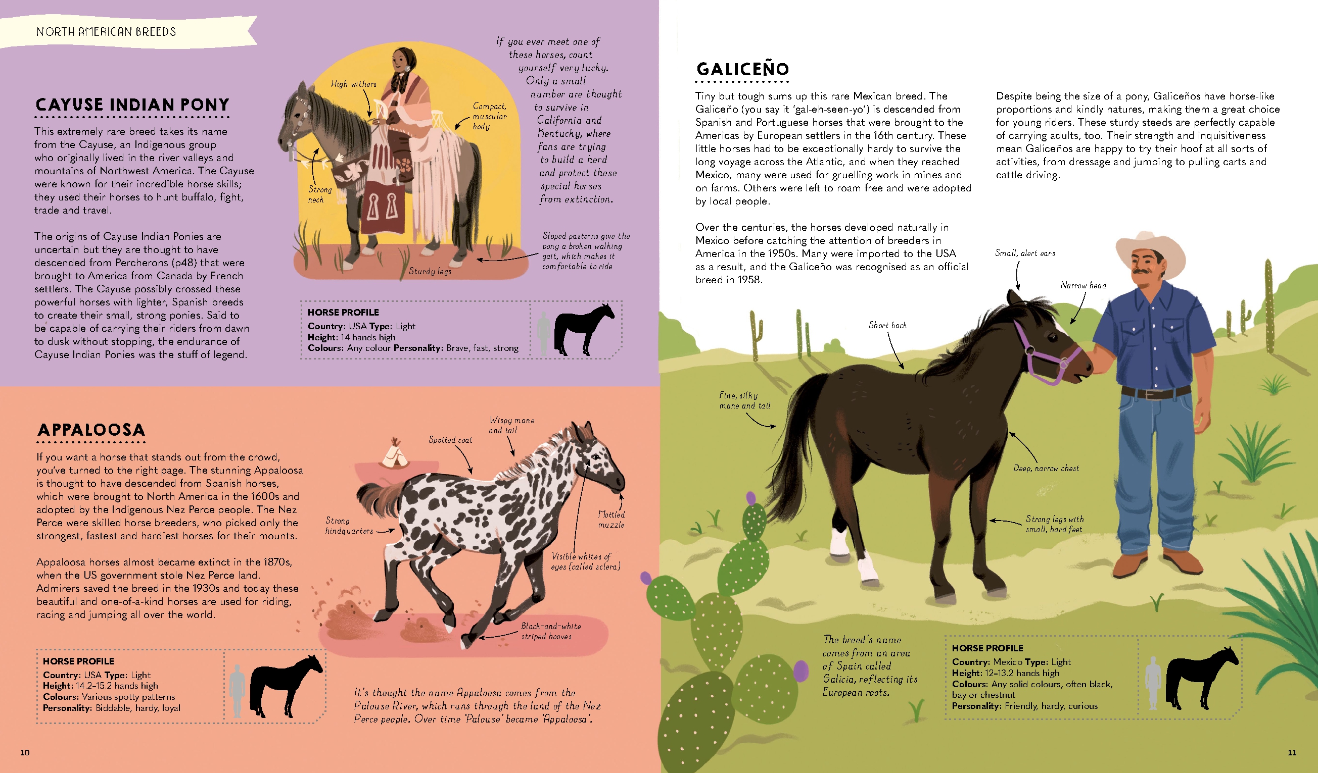Atlas of Horses and Ponies