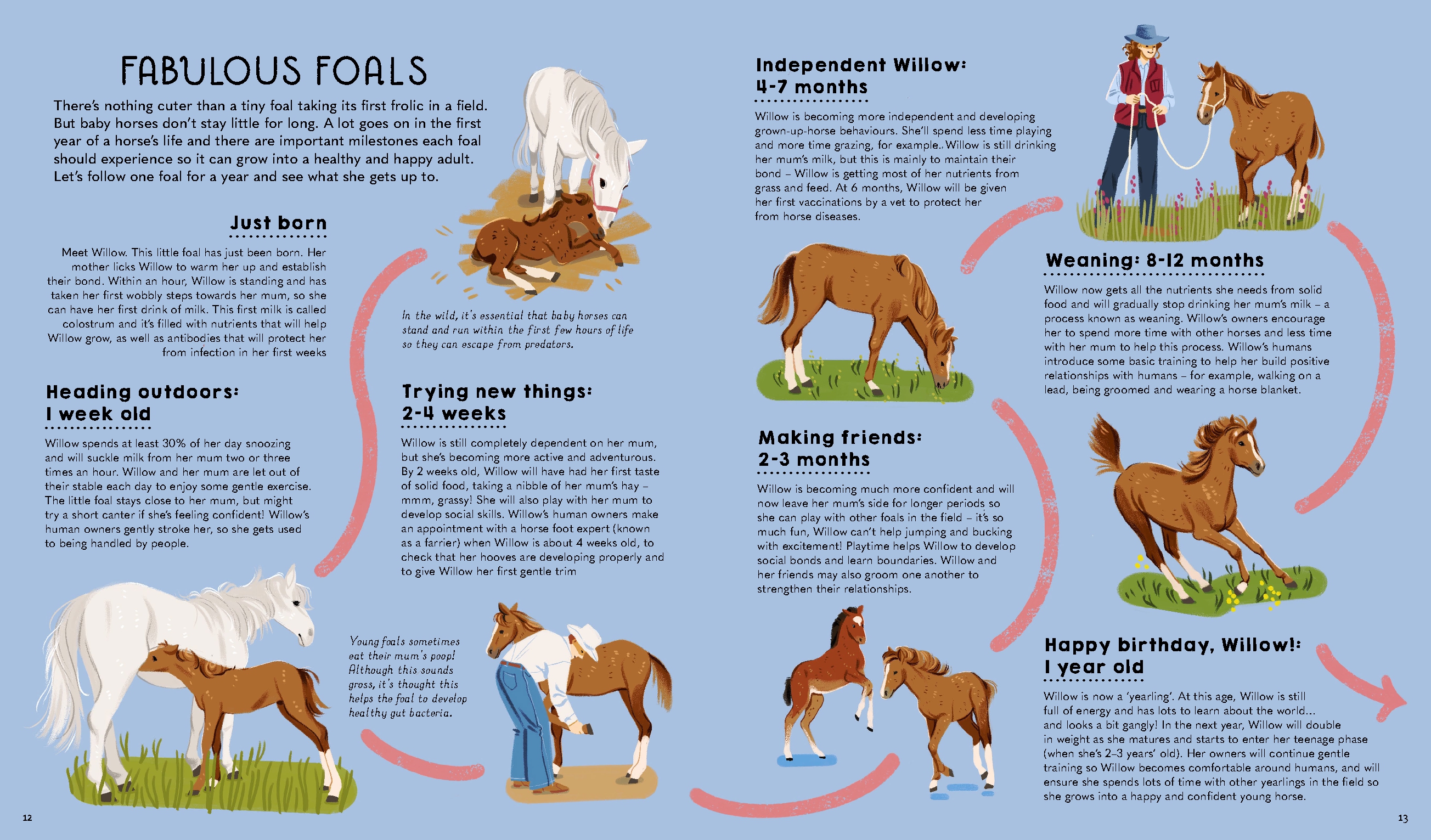 Atlas of Horses and Ponies
