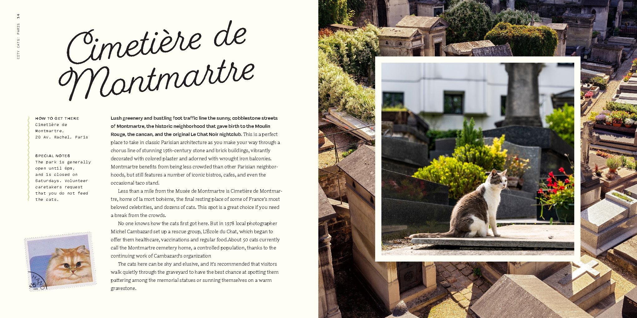 Where to Cheat on Your Cat: The Cat Lover's Travel guide