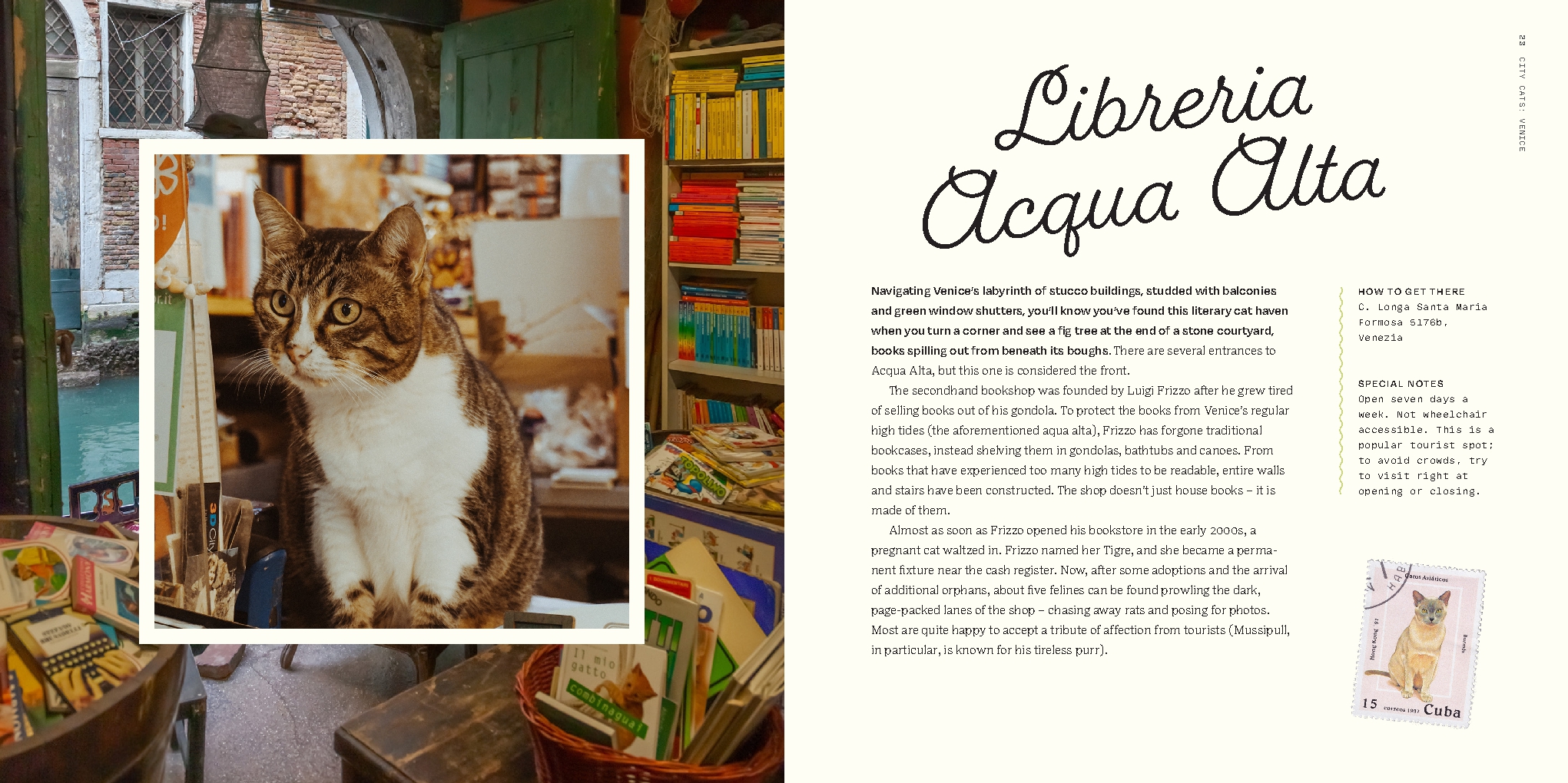 Where to Cheat on Your Cat: The Cat Lover's Travel guide