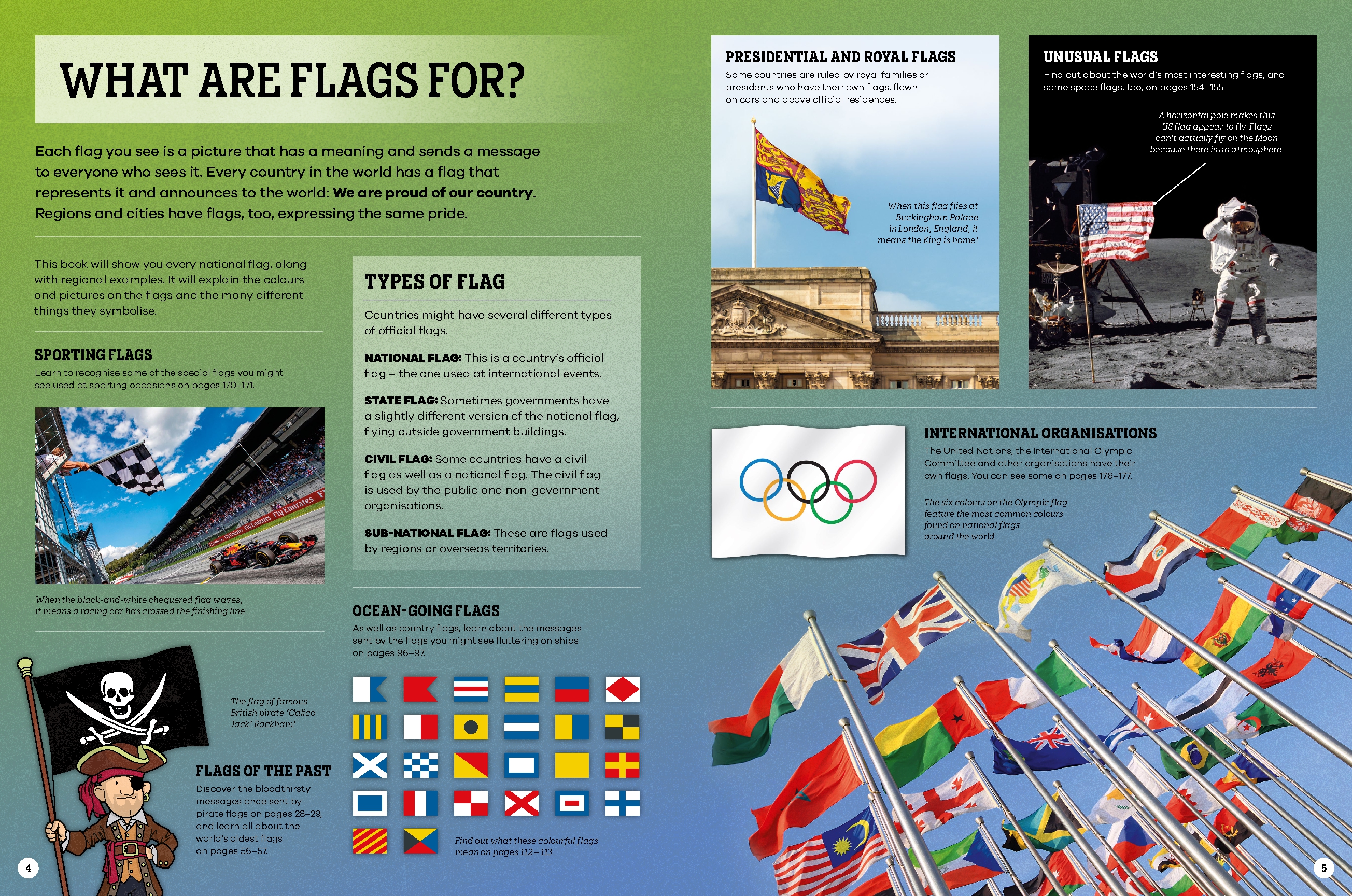 The Flag Book 2