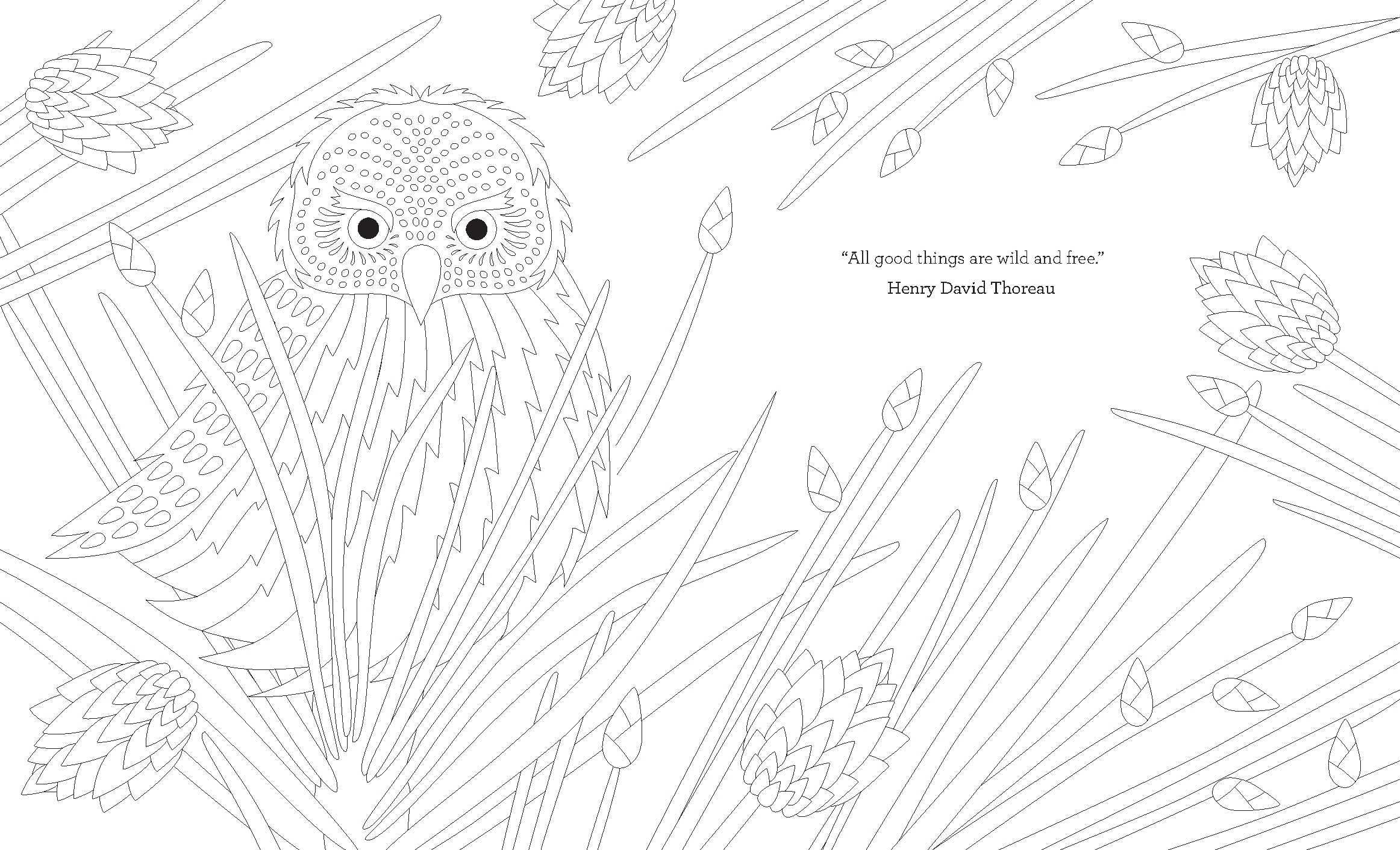 Joy of Mindfulness Coloring