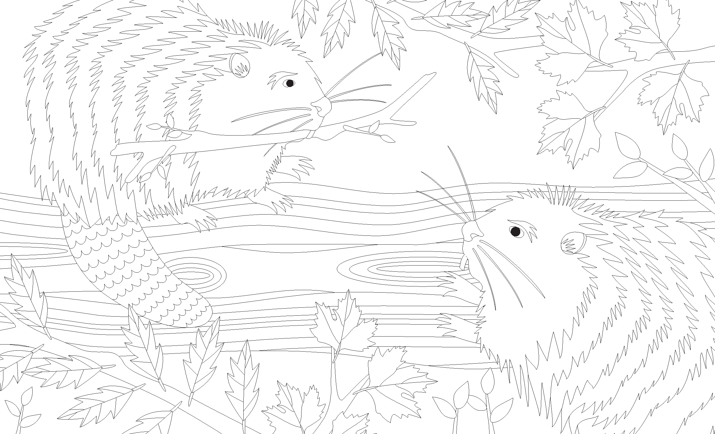 Joy of Mindfulness Coloring