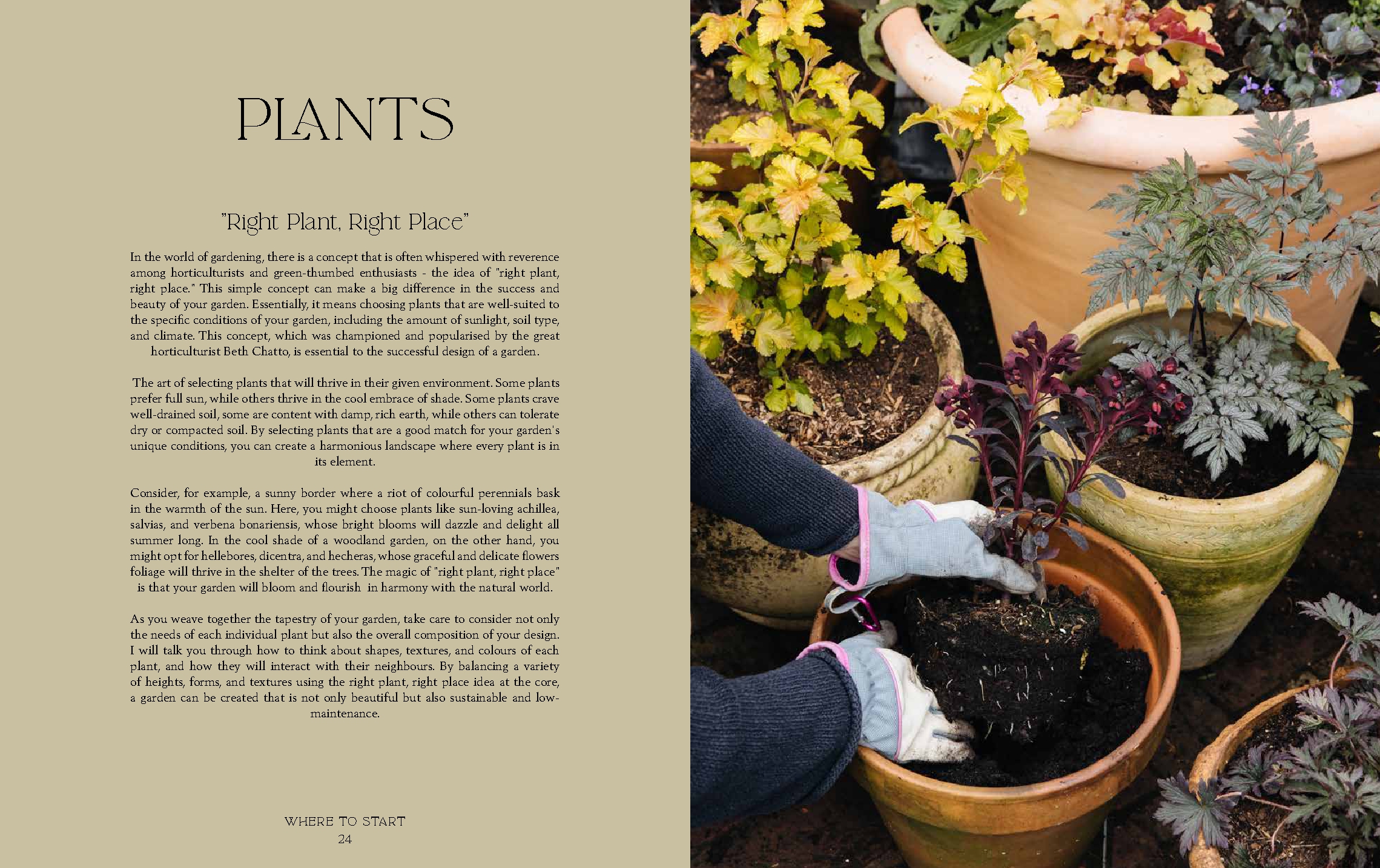 How Does Your Garden Grow?
