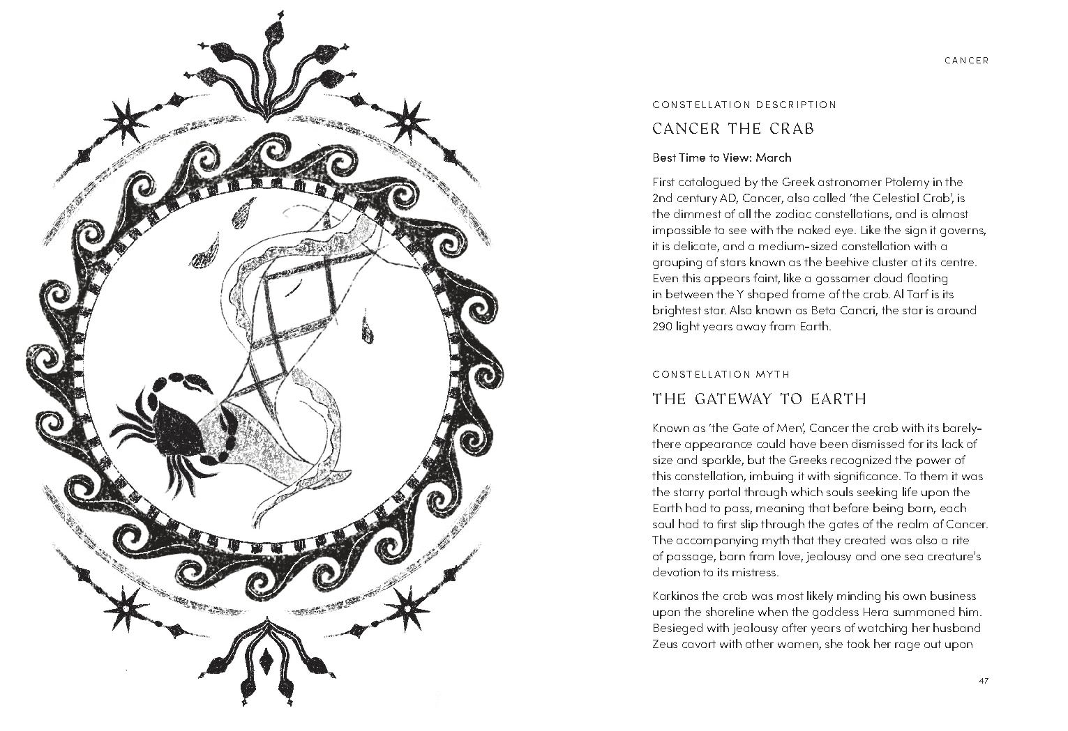 Zodiac Year