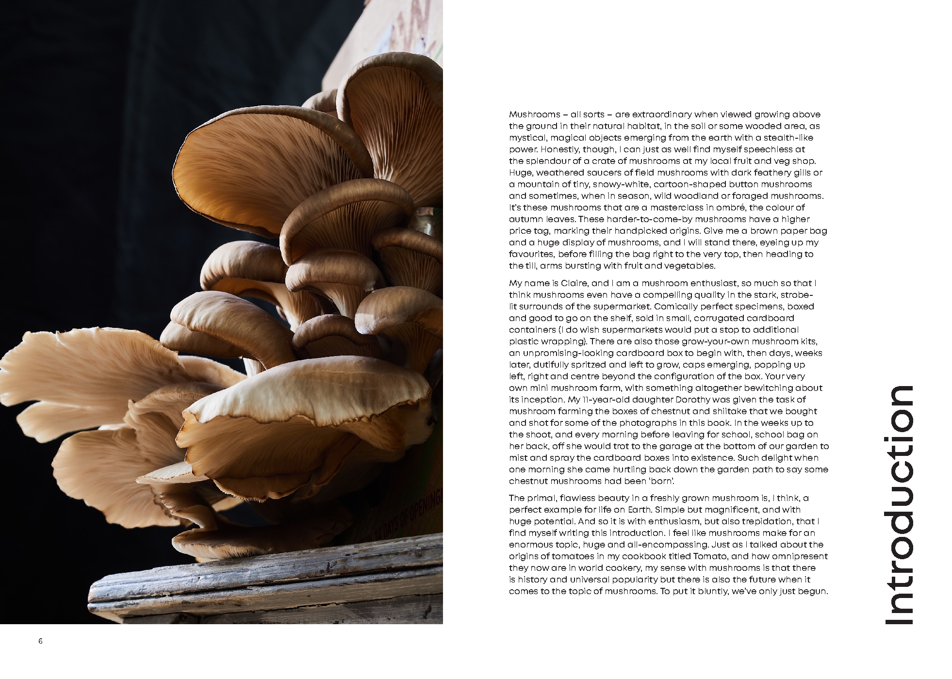 Mushroom