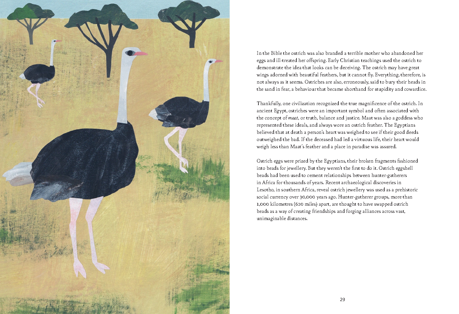 Bird Lore