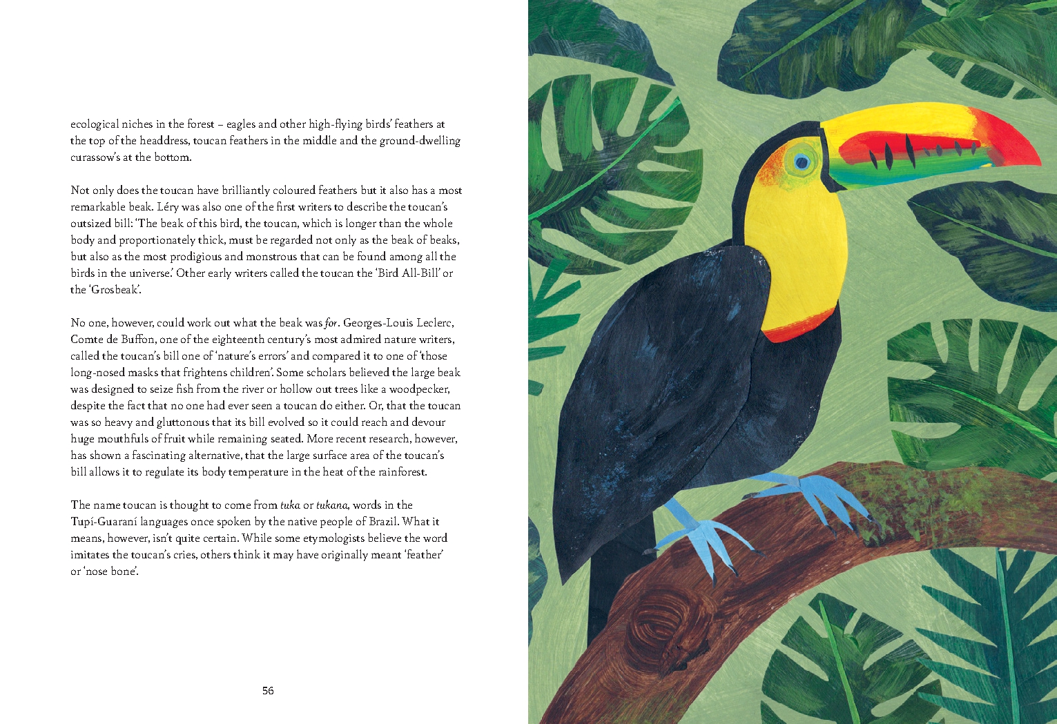 Bird Lore