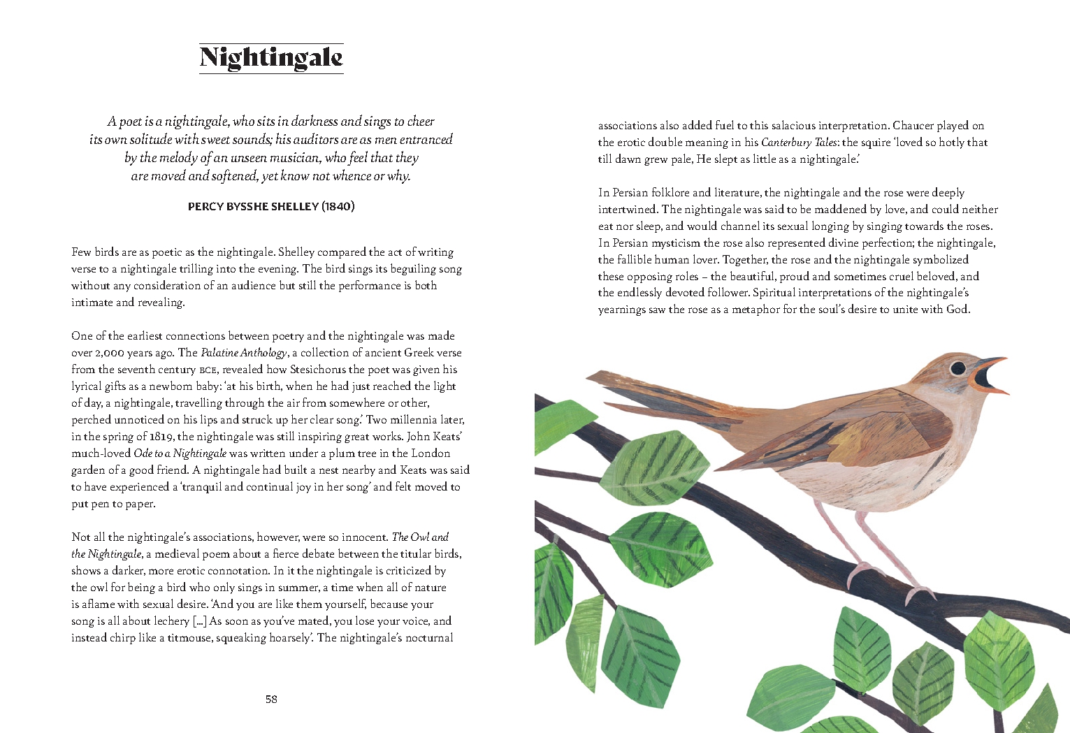 Bird Lore