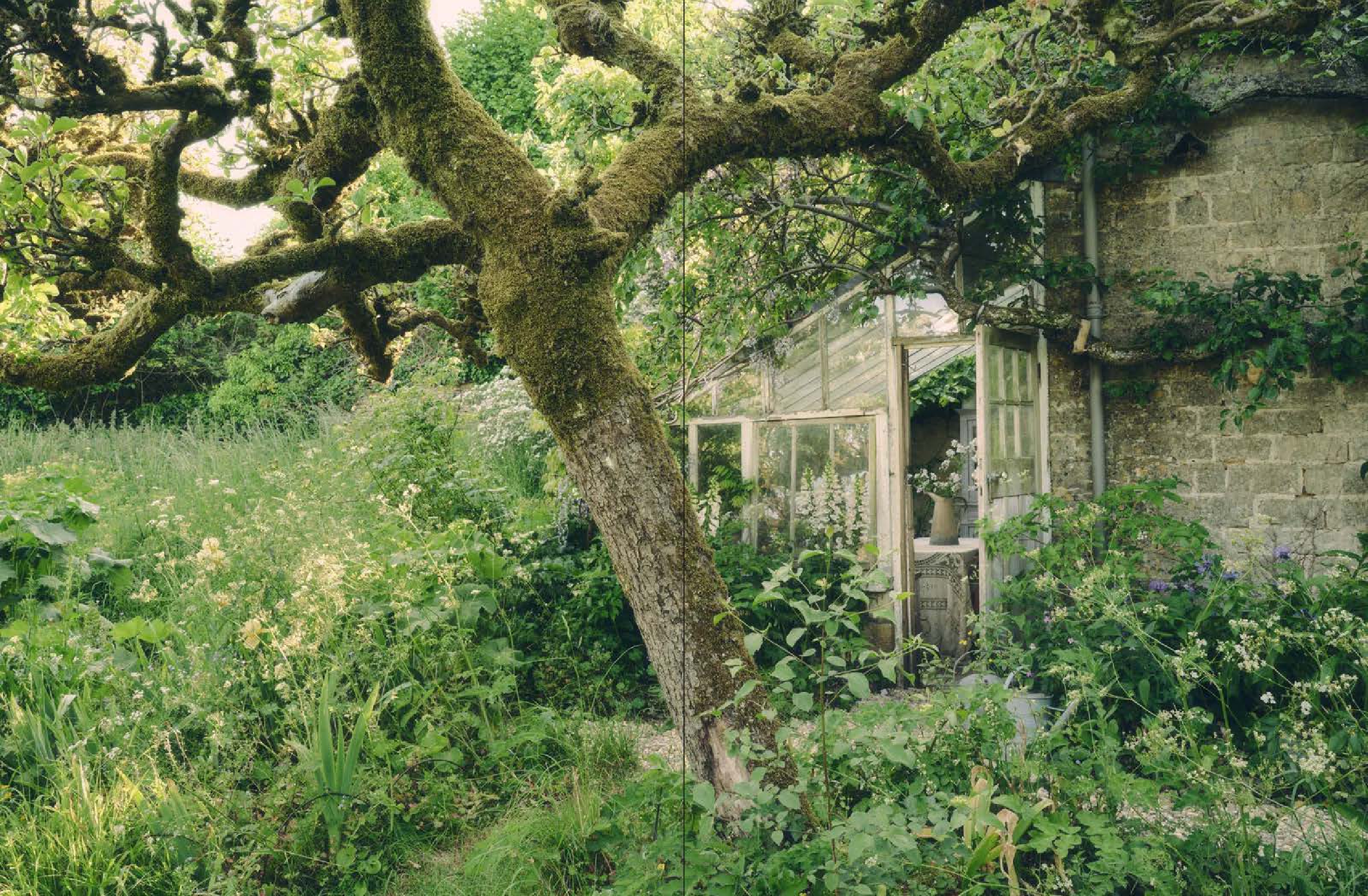 Life Inside A Cottage