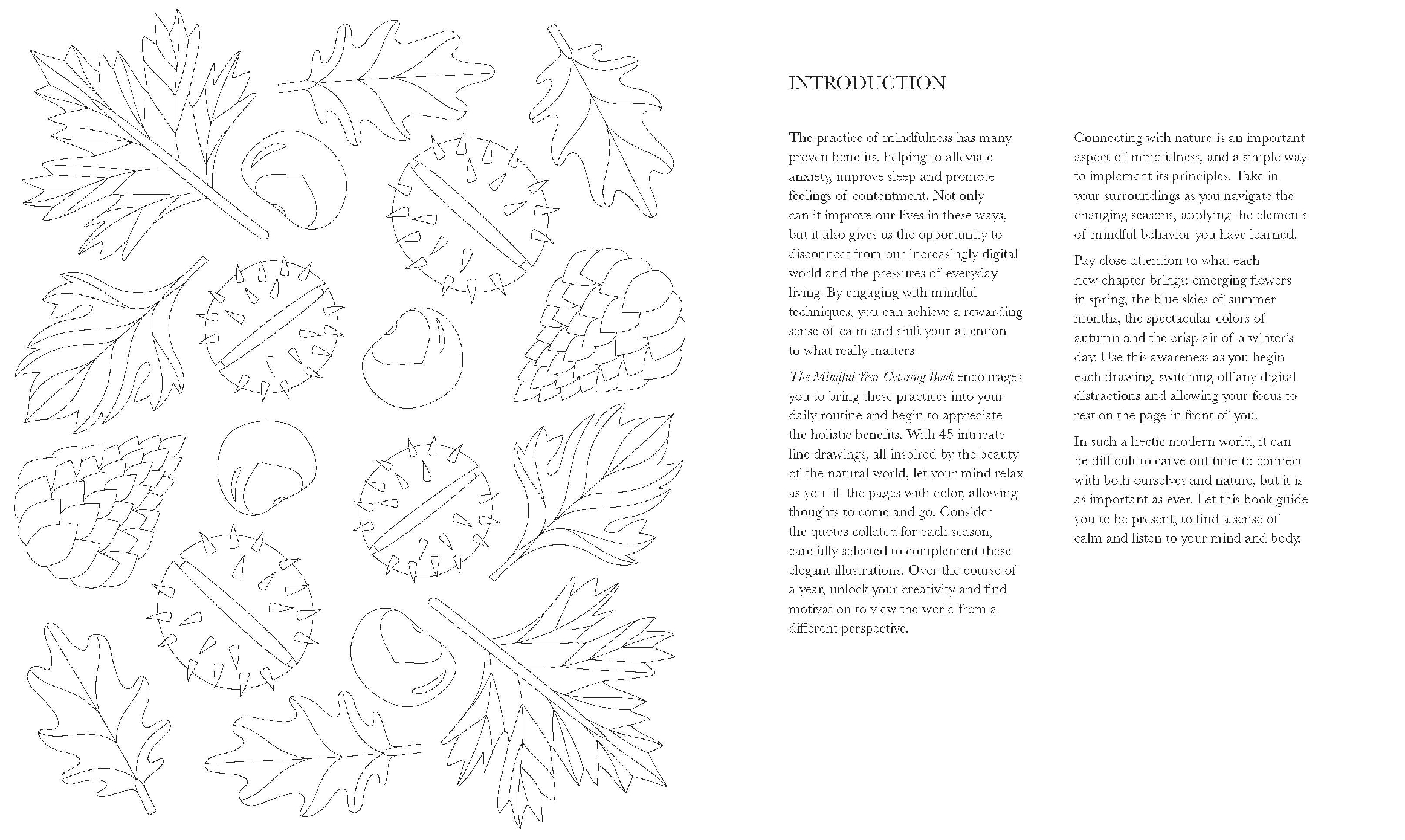 The Mindful Year Coloring Book