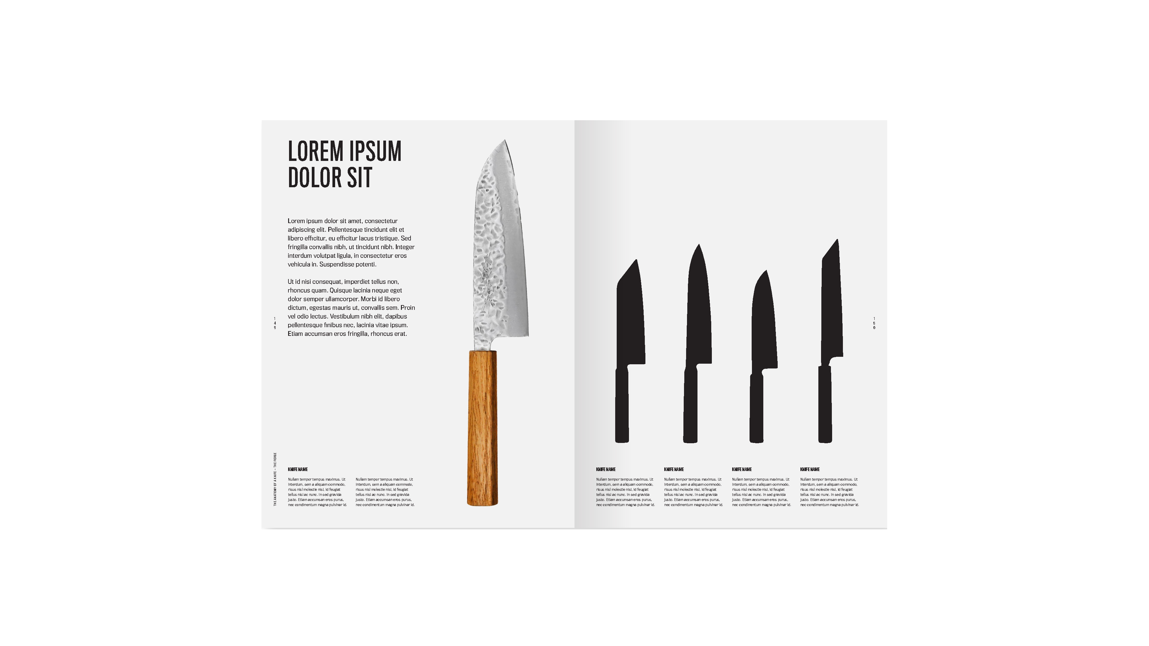 Anatomy of a Japanese Knife