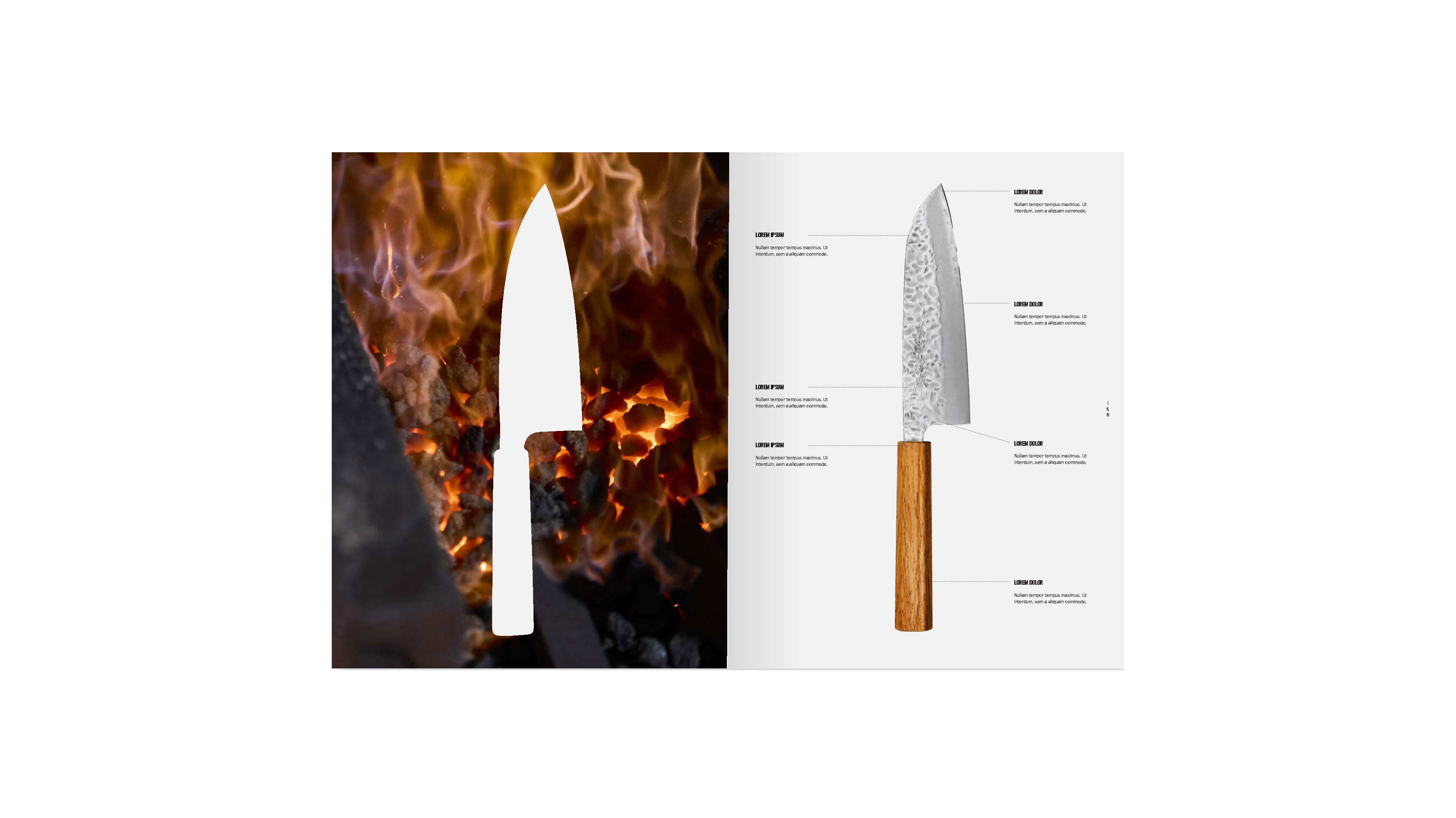 Anatomy of a Japanese Knife
