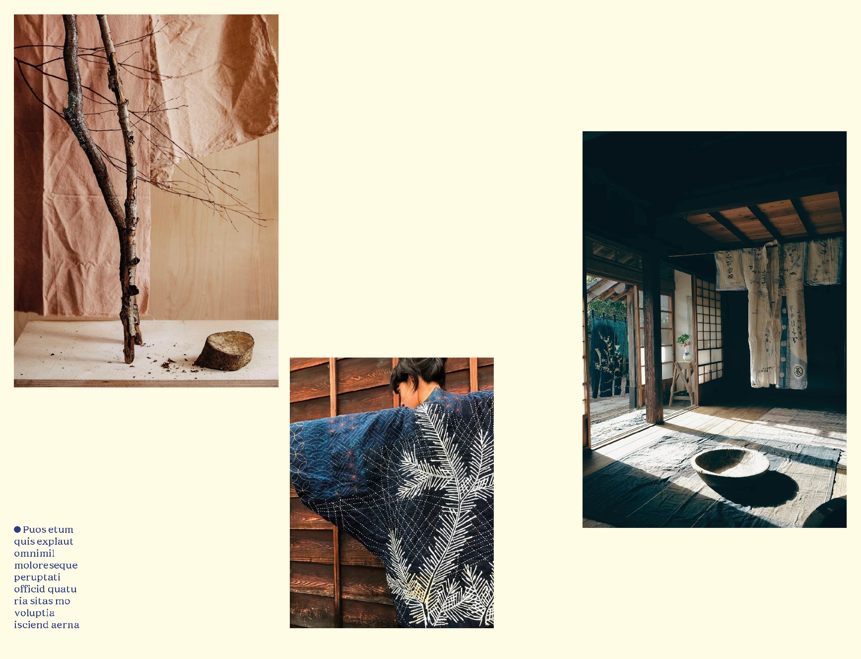 Sashiko: The Untold Story