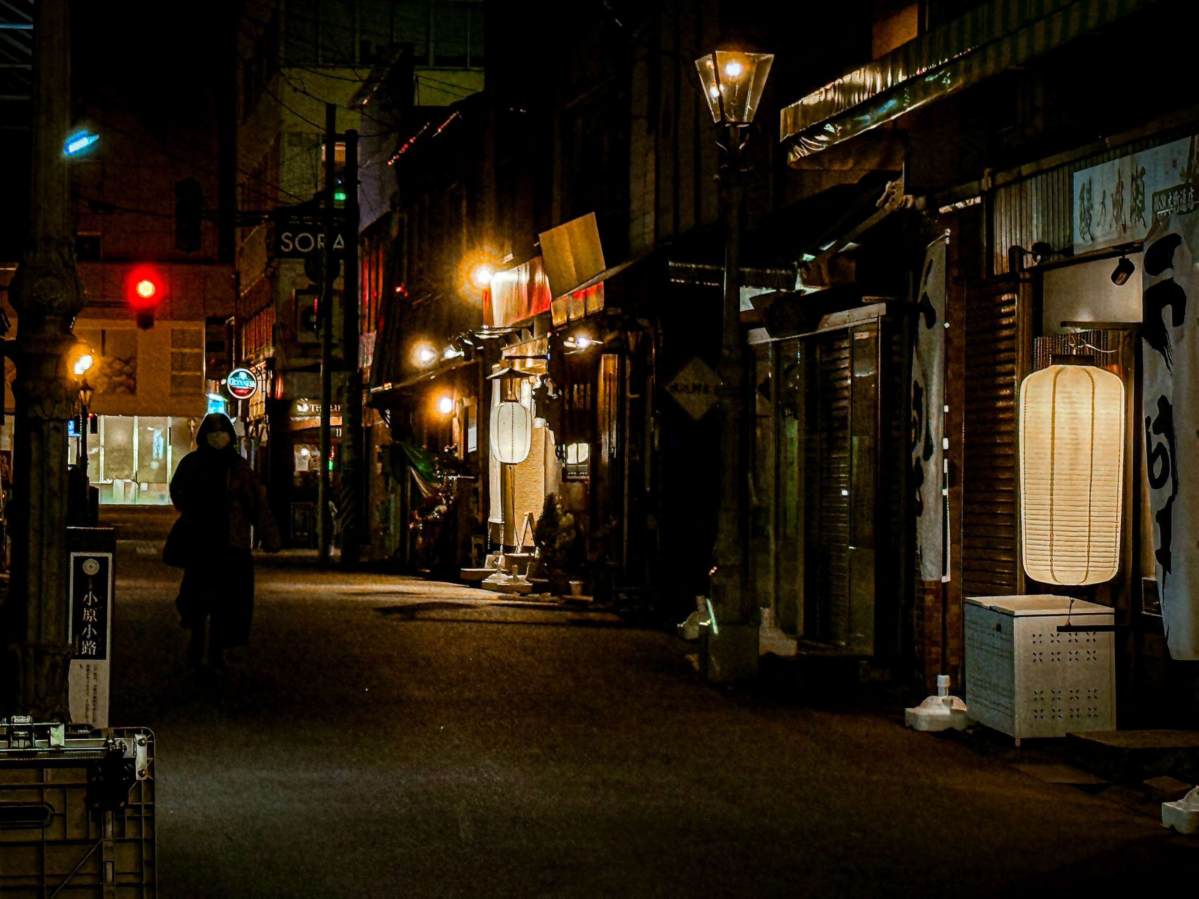 The Drinker's Guide to Japan