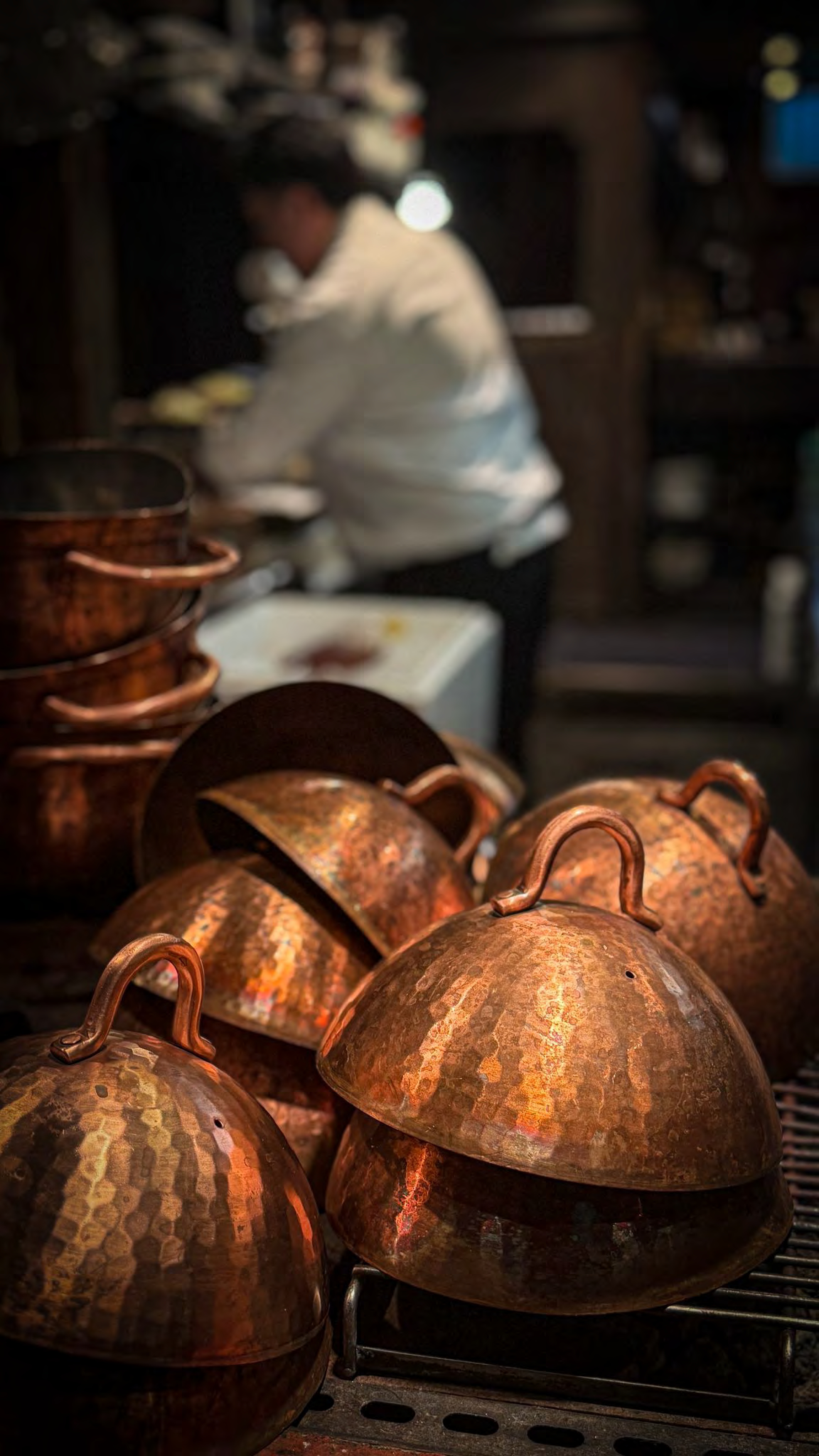 The Drinker's Guide to Japan