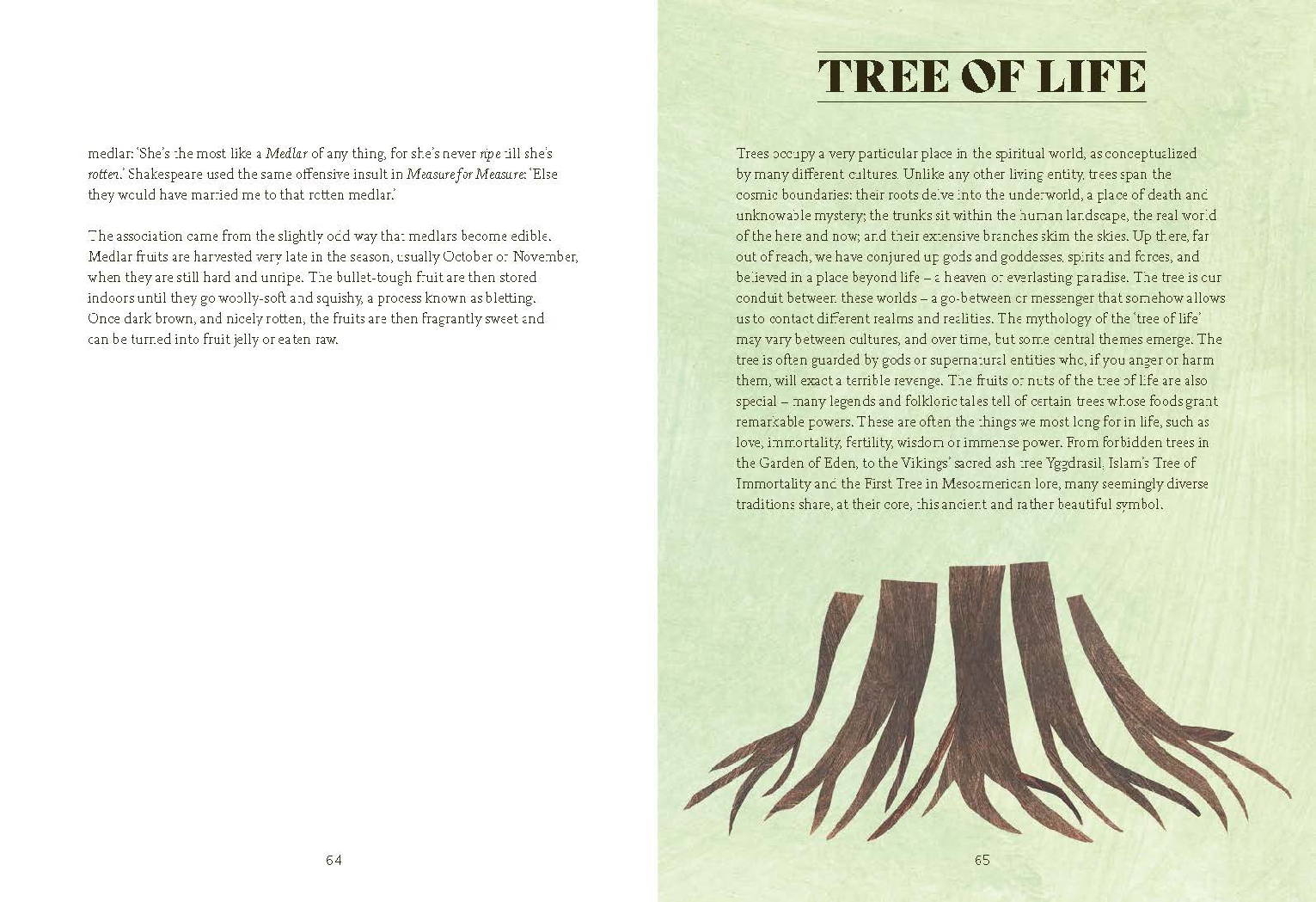 Tree Lore