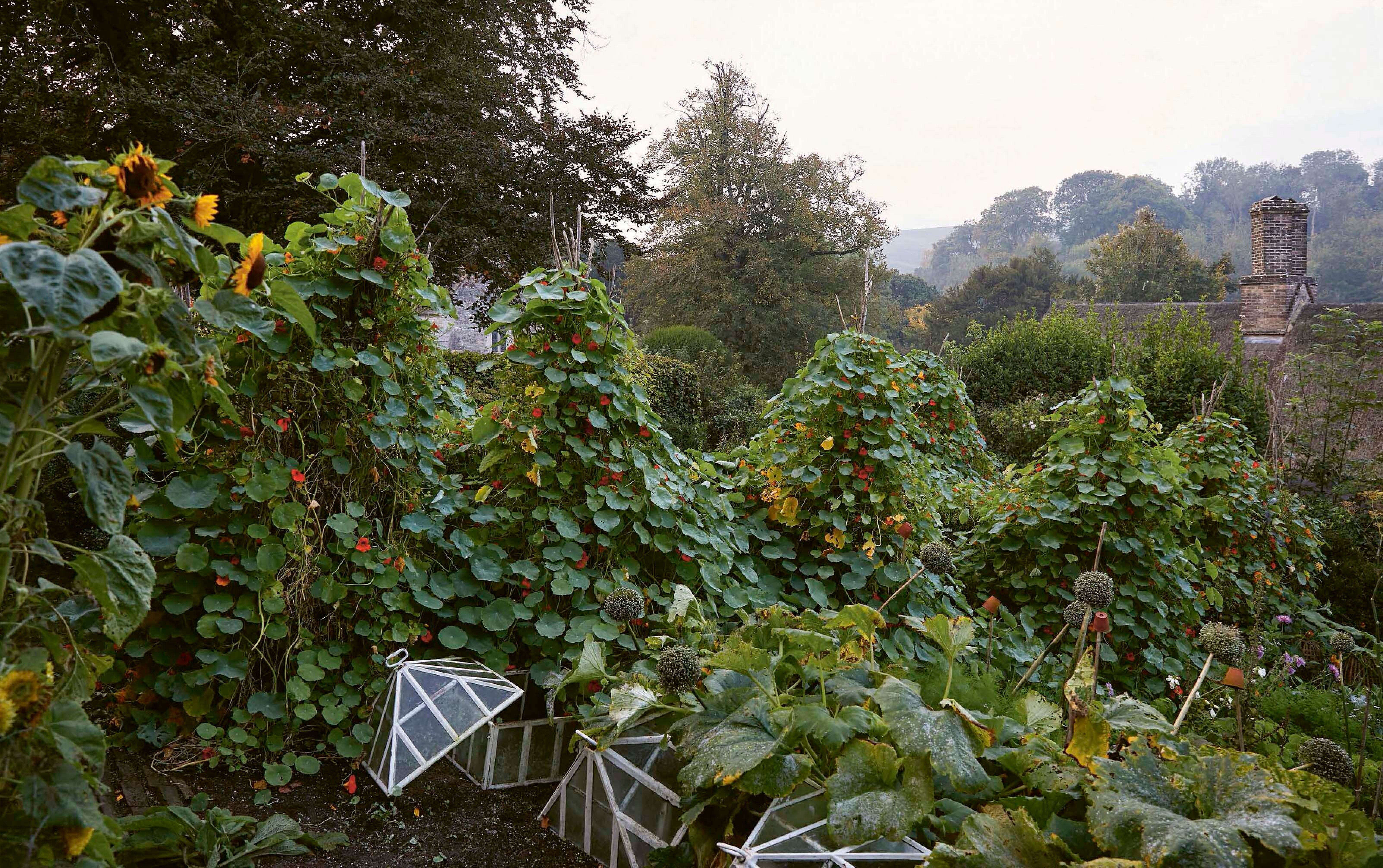 A Year at the Parsonage