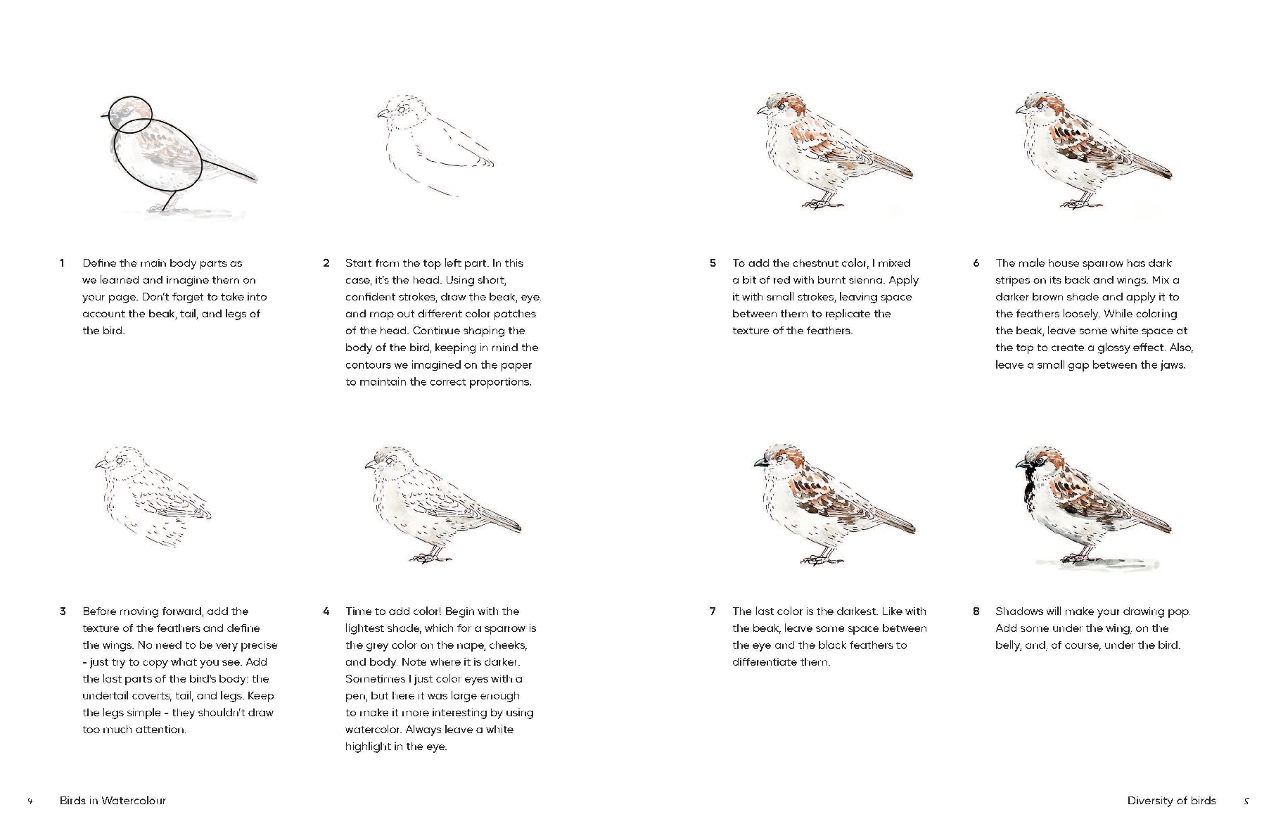 Birds in Watercolour