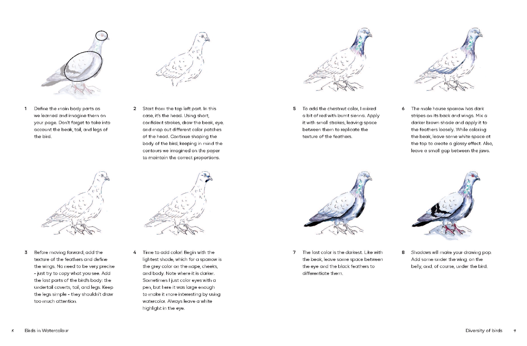 Birds in Watercolour