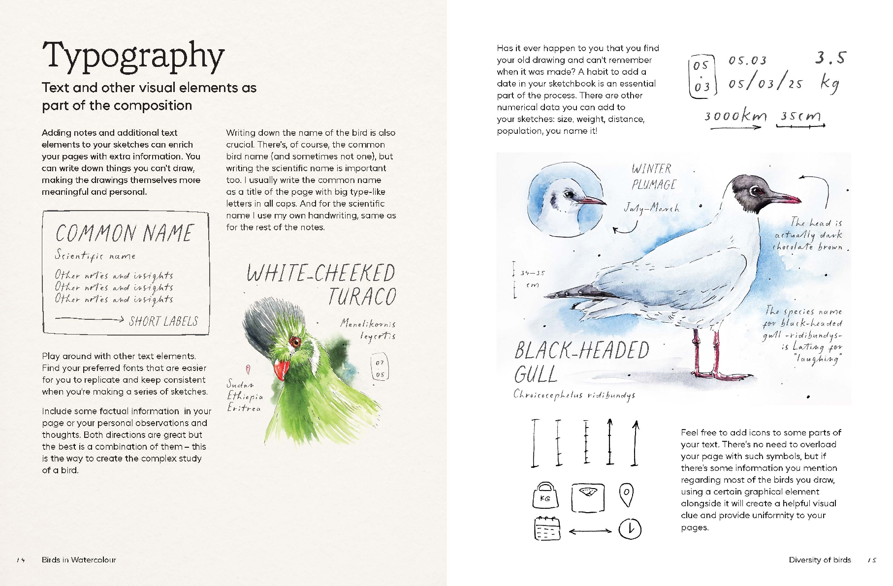 Birds in Watercolour