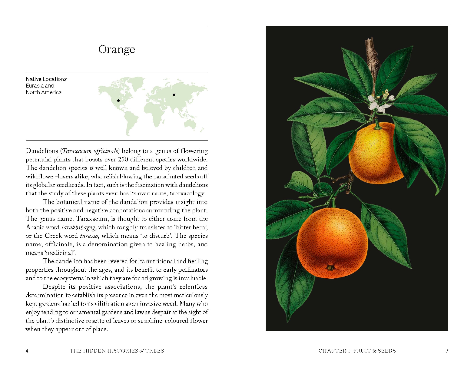 The Hidden Histories of Trees