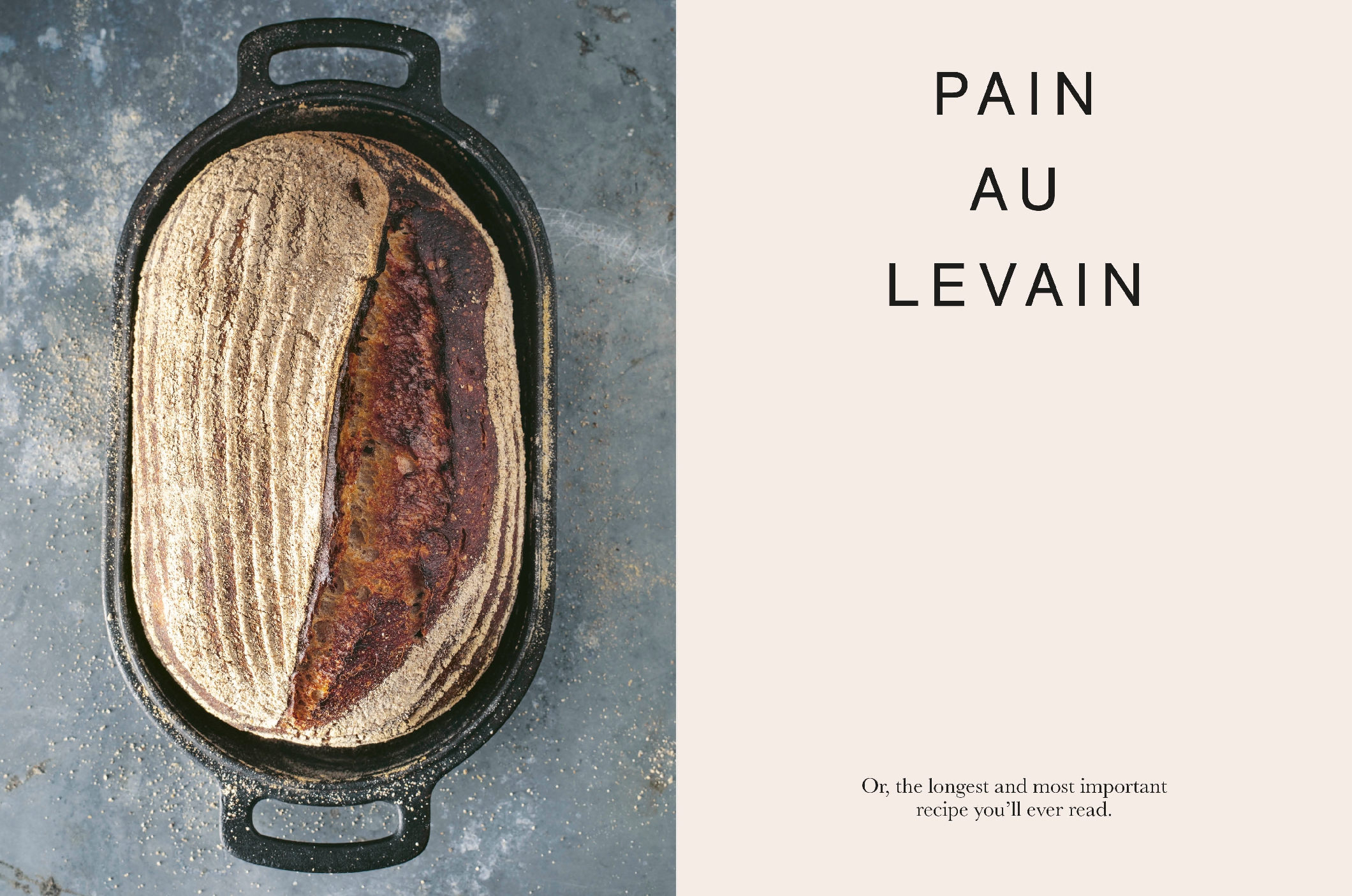 The Ultimate Guide to Sourdough