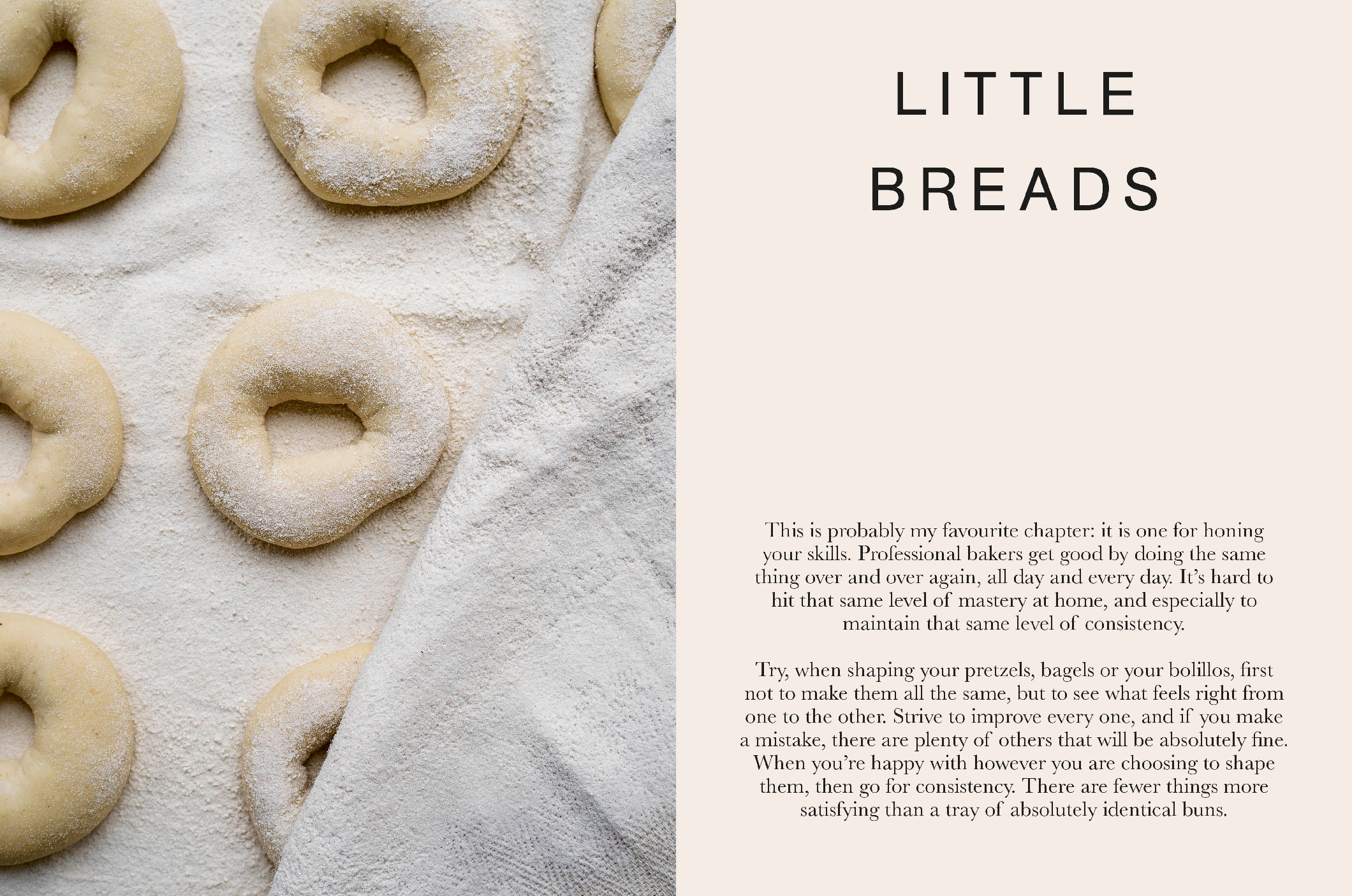 The Ultimate Guide to Sourdough