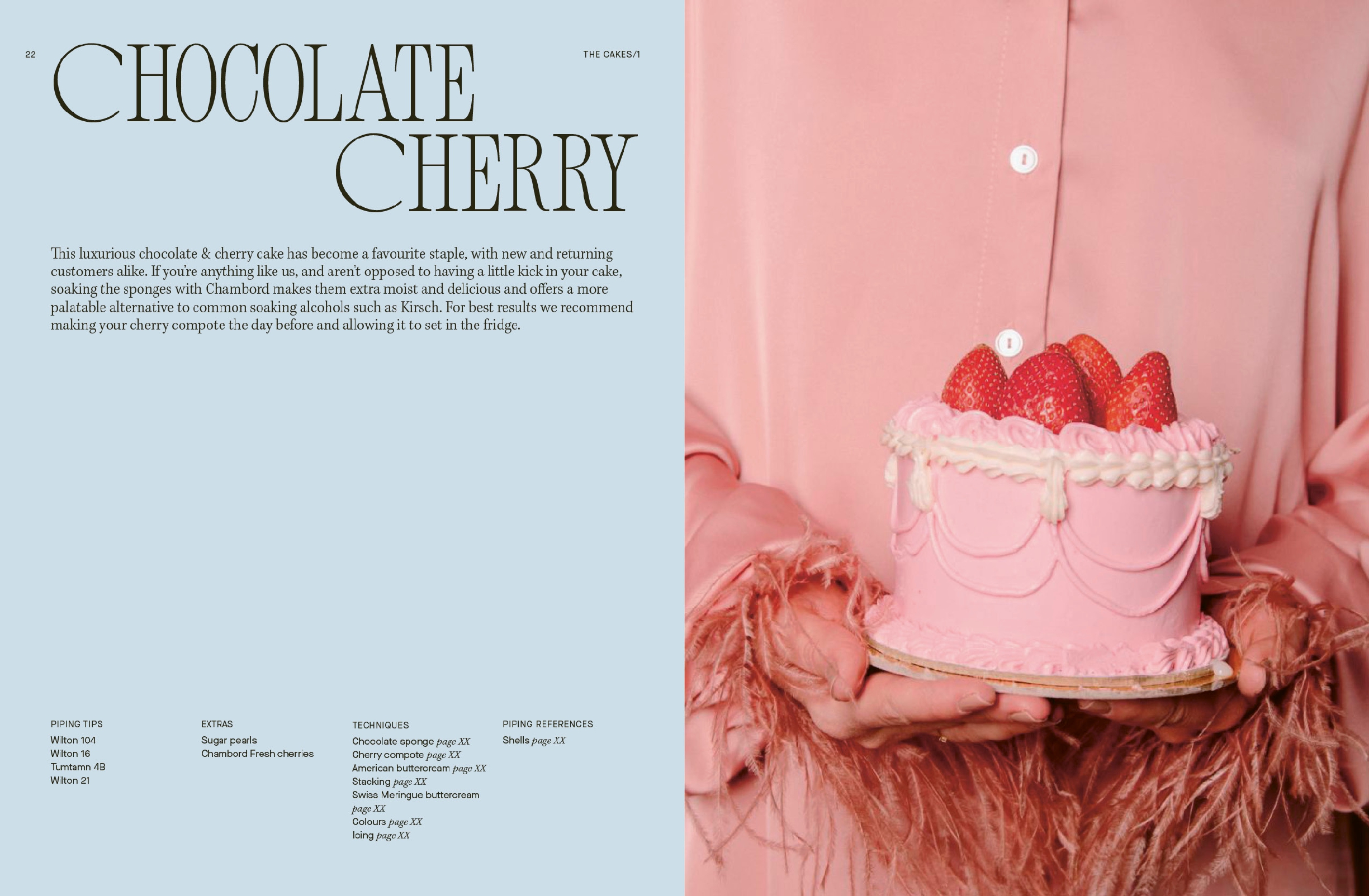 Fancy Cakes