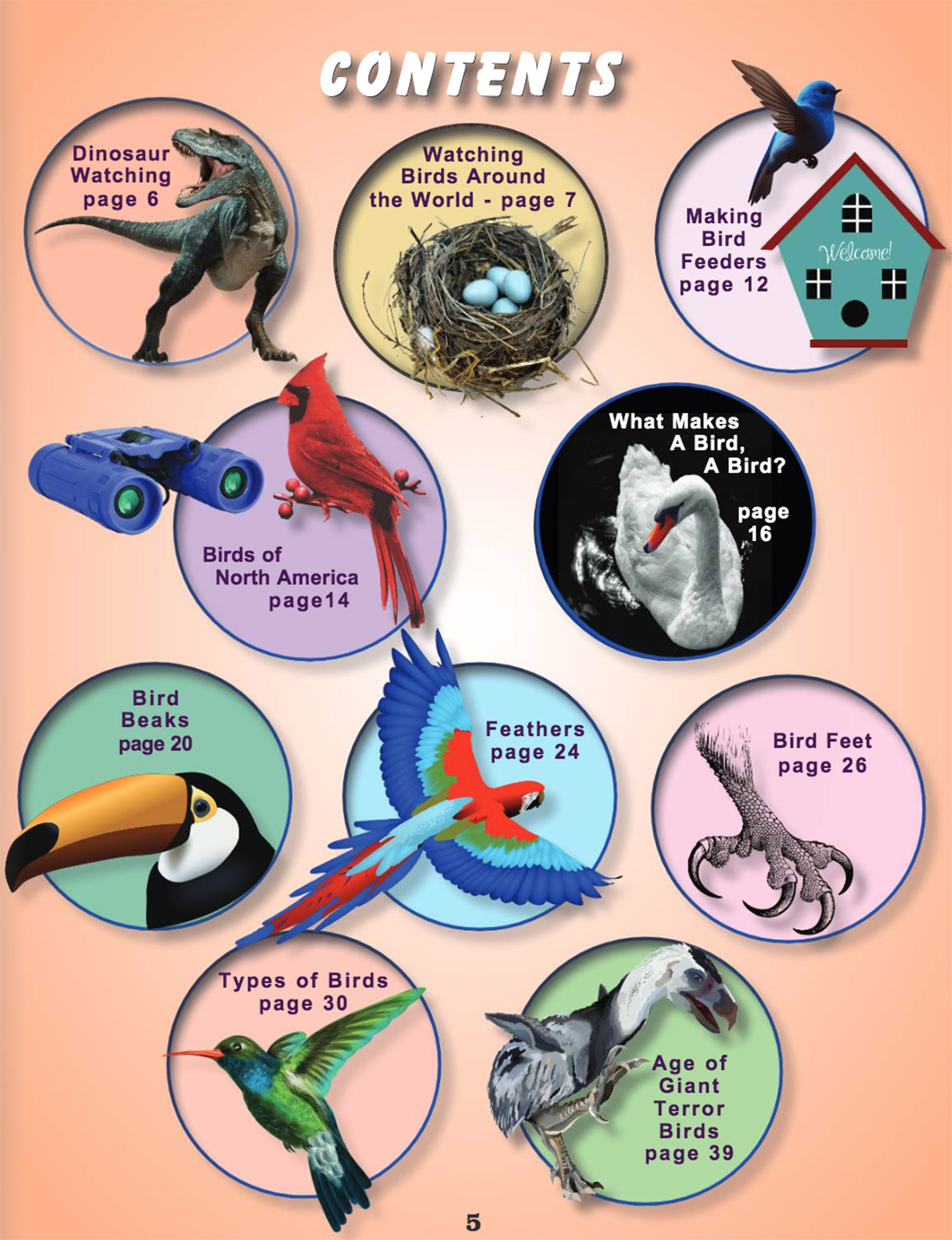 Online Science Discovery Birds