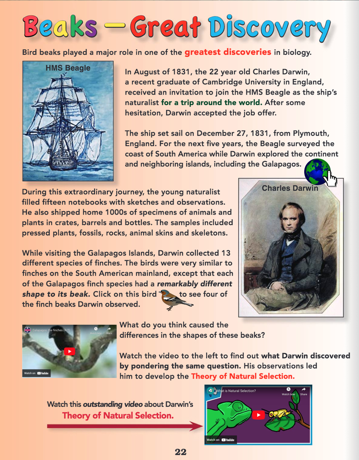 Online Science Discovery Birds