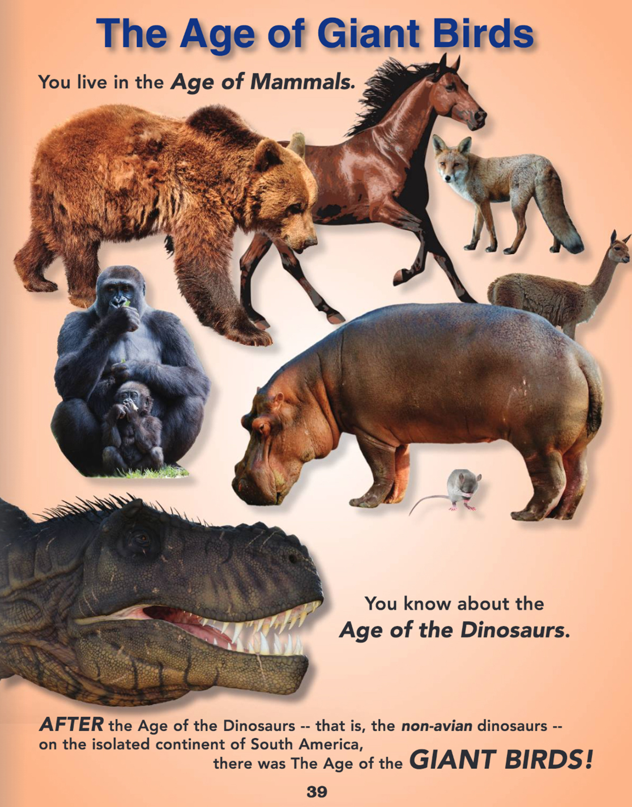 Online Science Discovery Birds