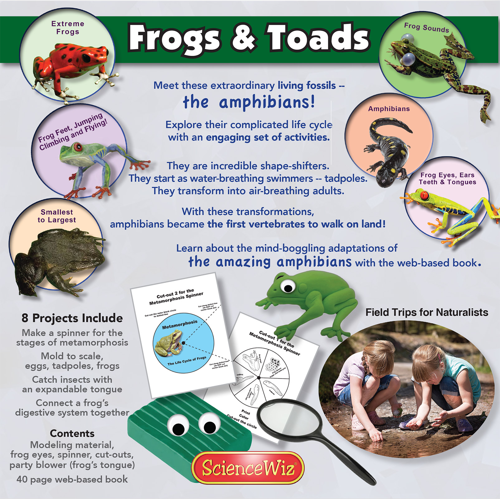 Online Science Discovery Frogs, Toads and Amphibians