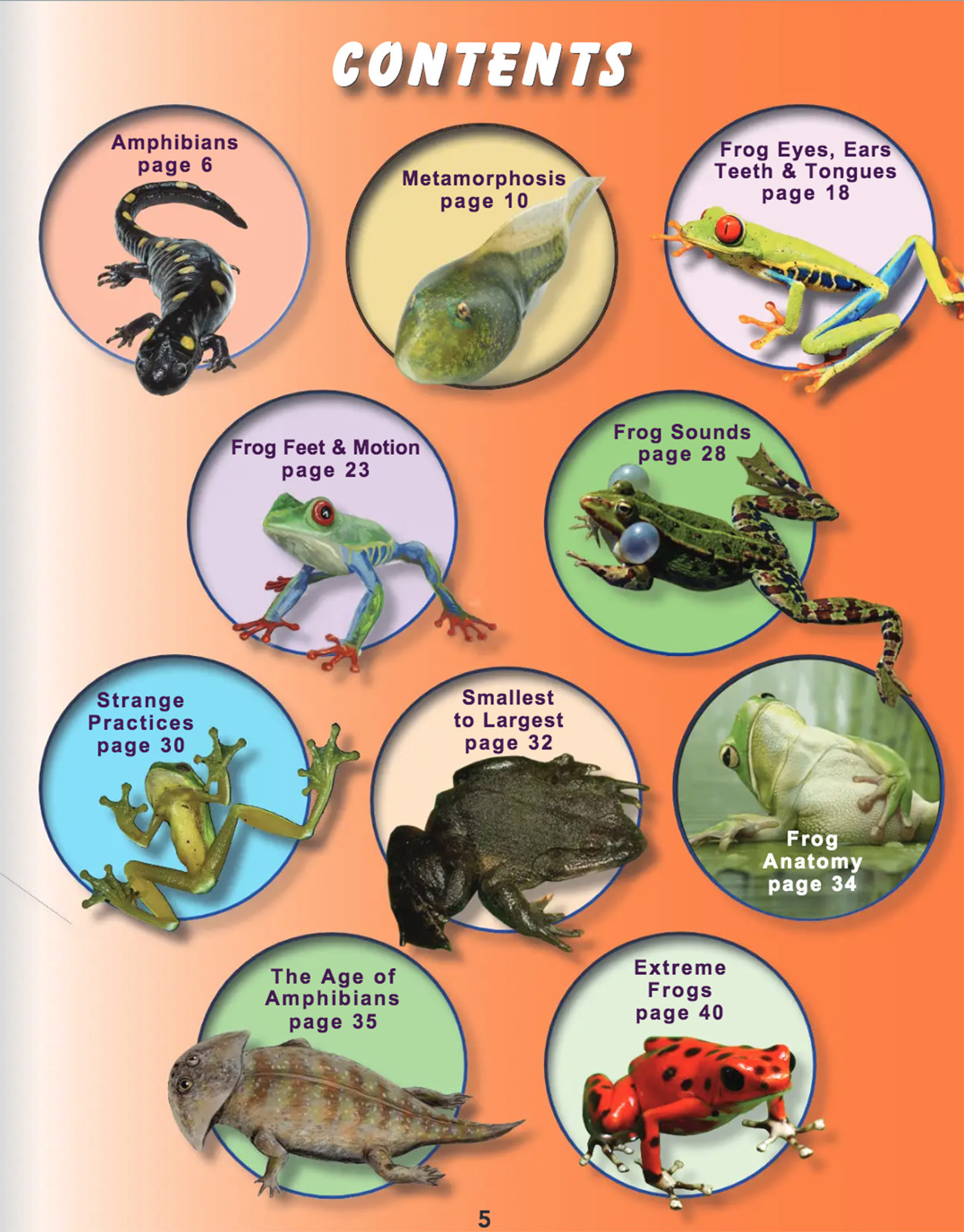 Online Science Discovery Frogs, Toads and Amphibians