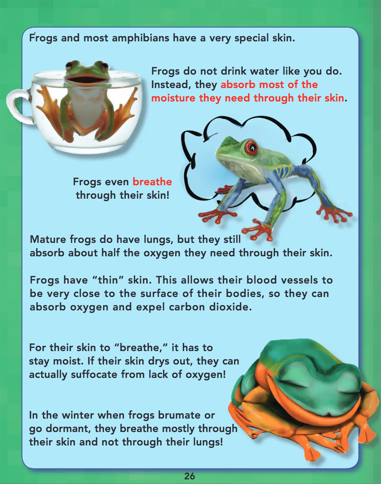 Online Science Discovery Frogs, Toads and Amphibians