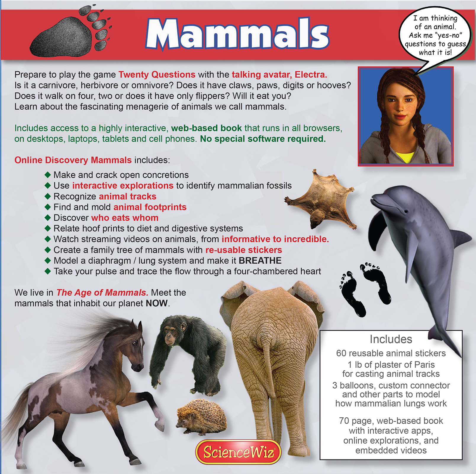 Online Science Discovery Mammals