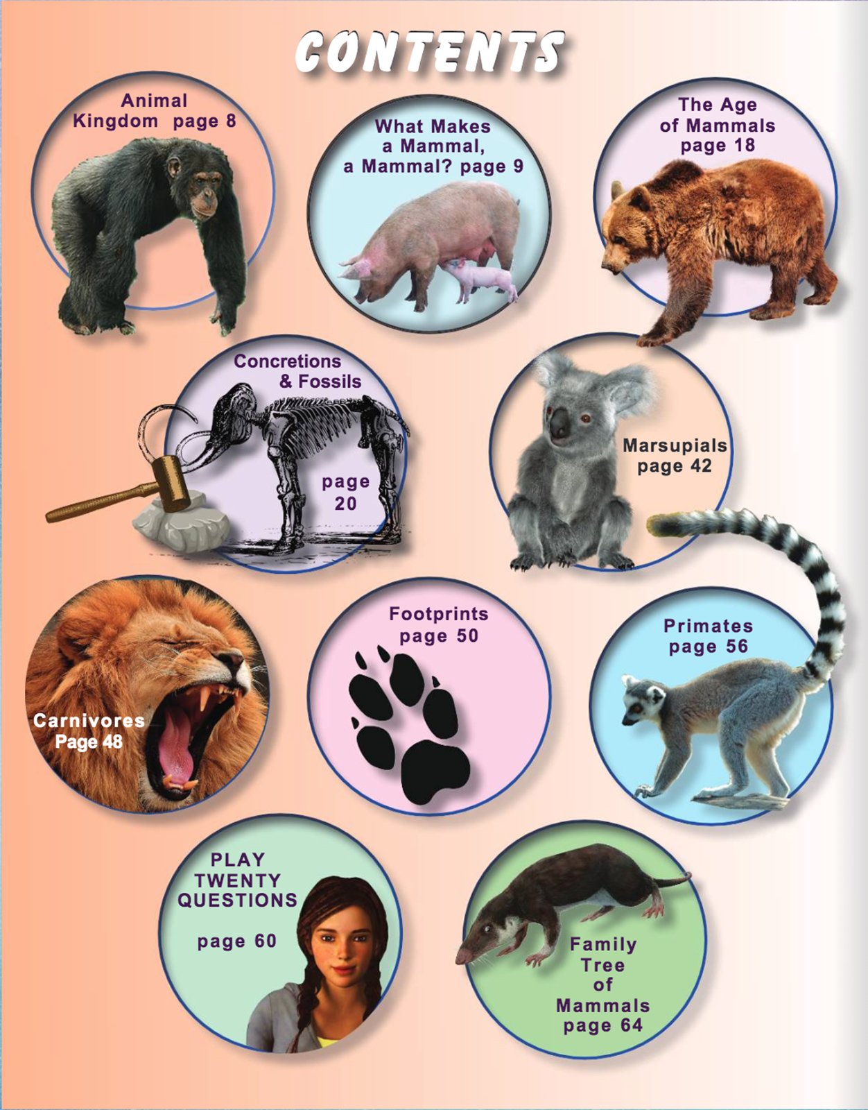 Online Science Discovery Mammals