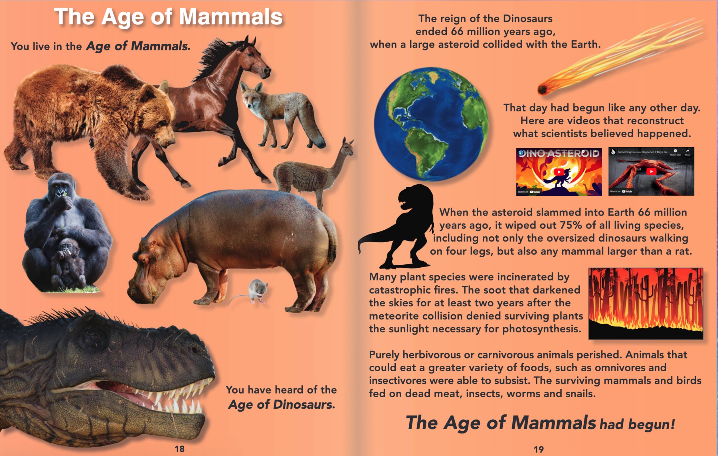 Online Science Discovery Mammals