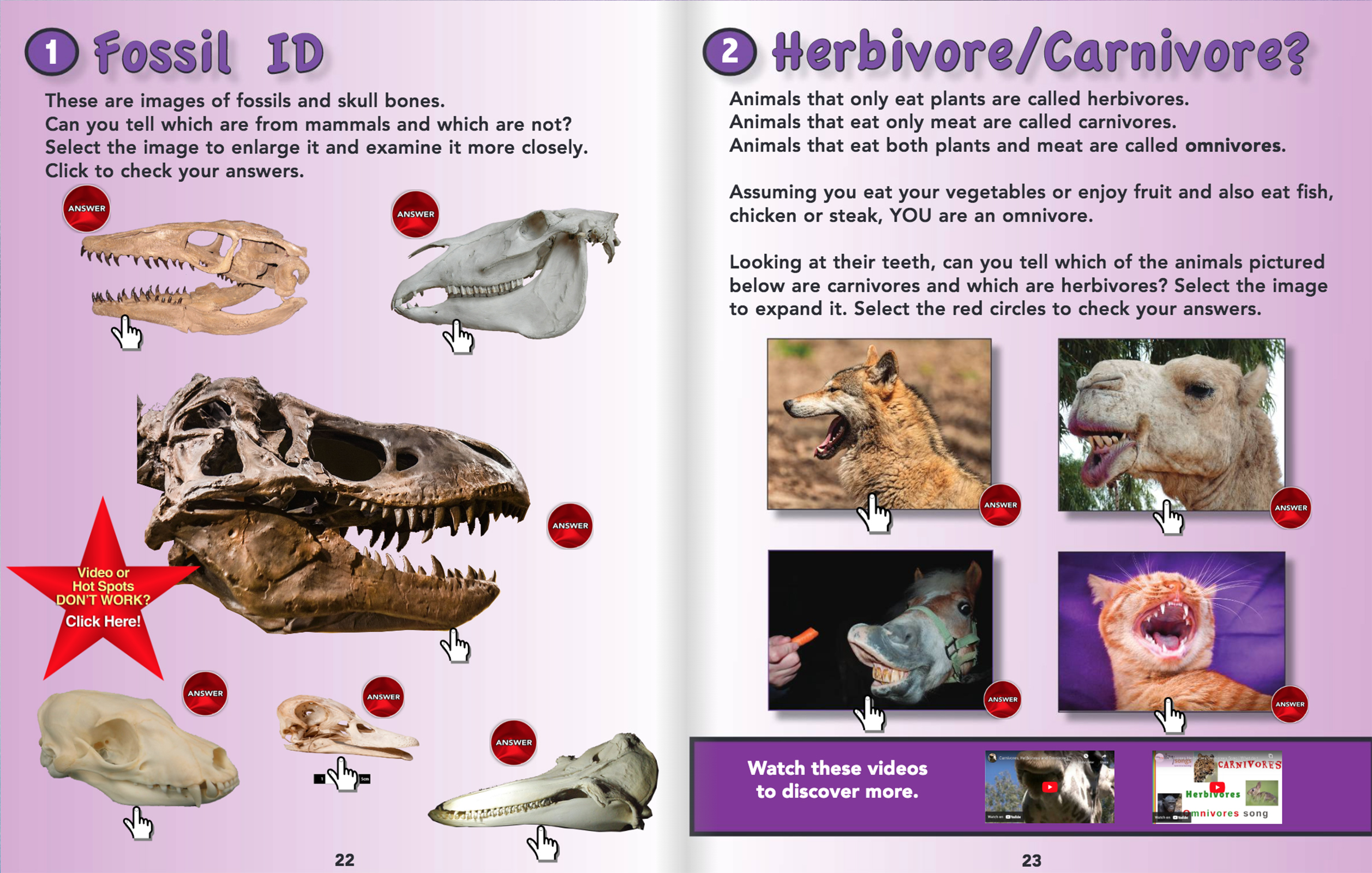 Online Science Discovery Mammals