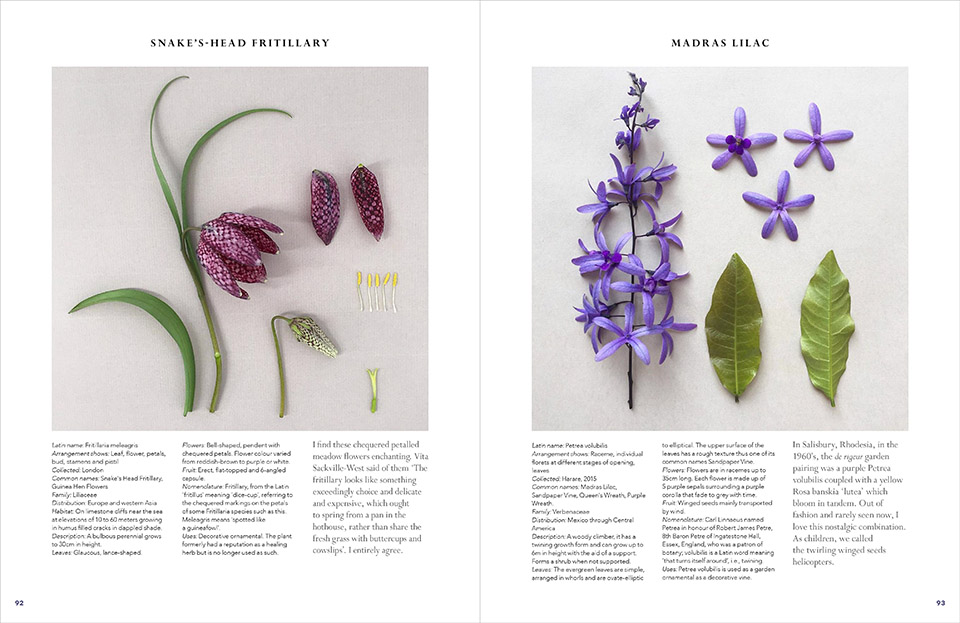 The Accidental Botanist