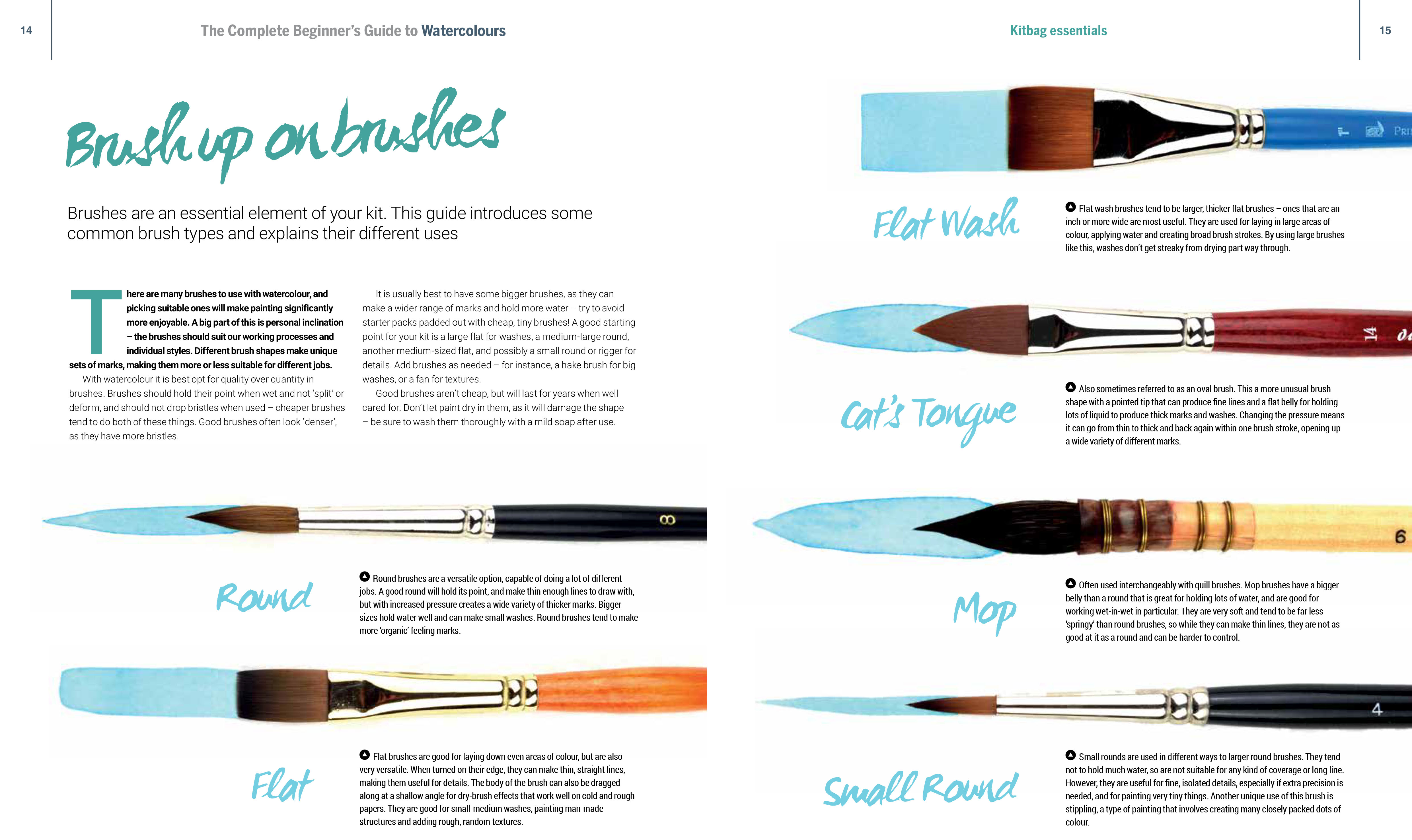 The Complete Beginner's Guide to Watercolours