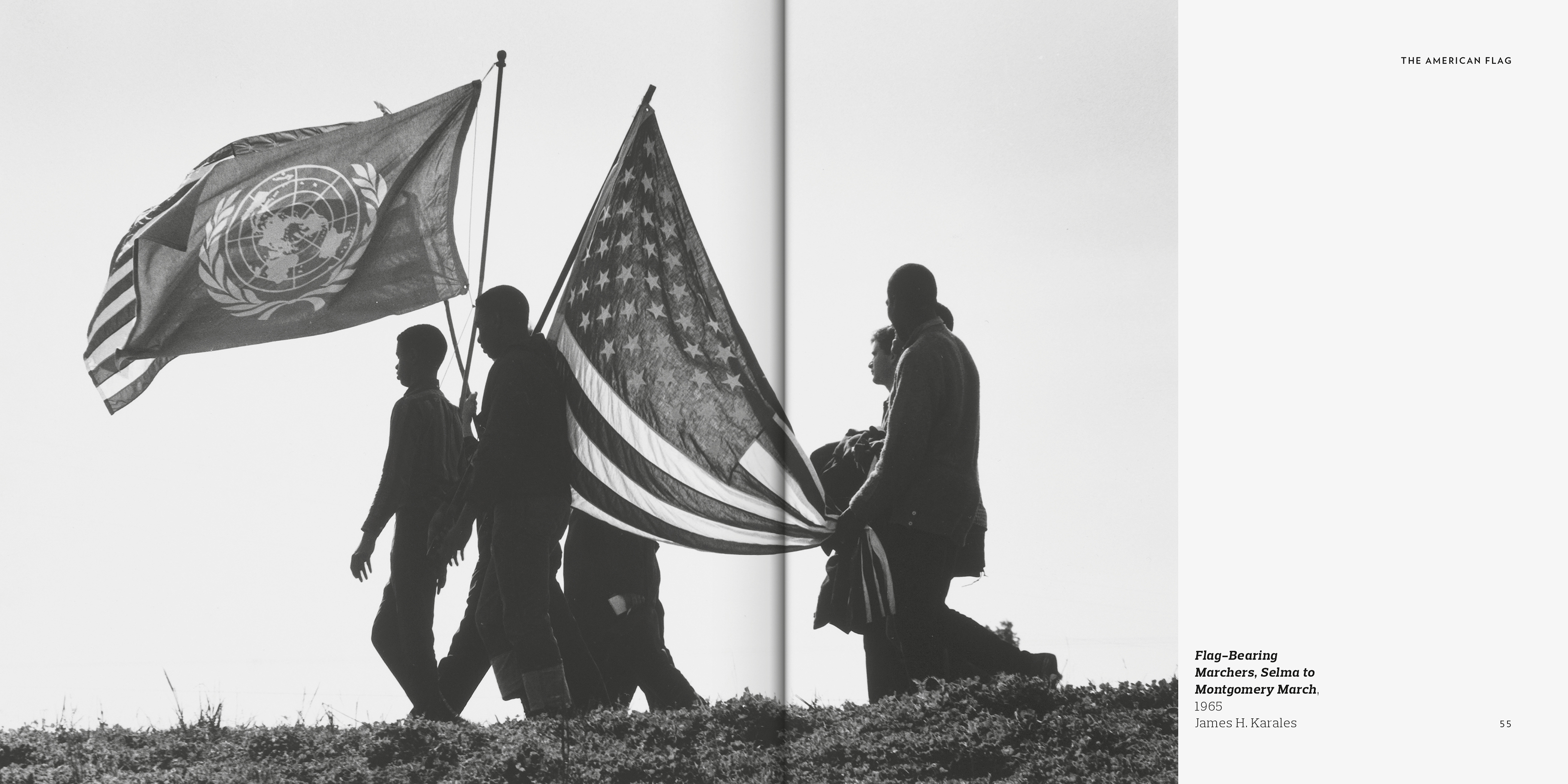 The American Flag