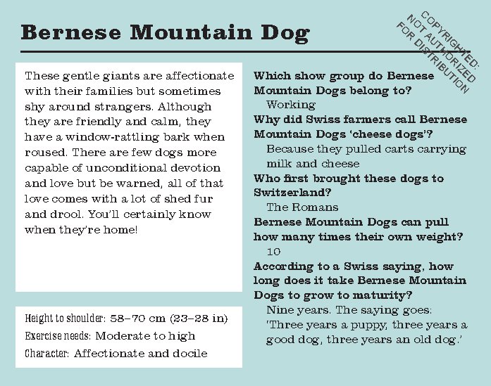 Do You Know Your Dogs? Dog lovers' quiz cards