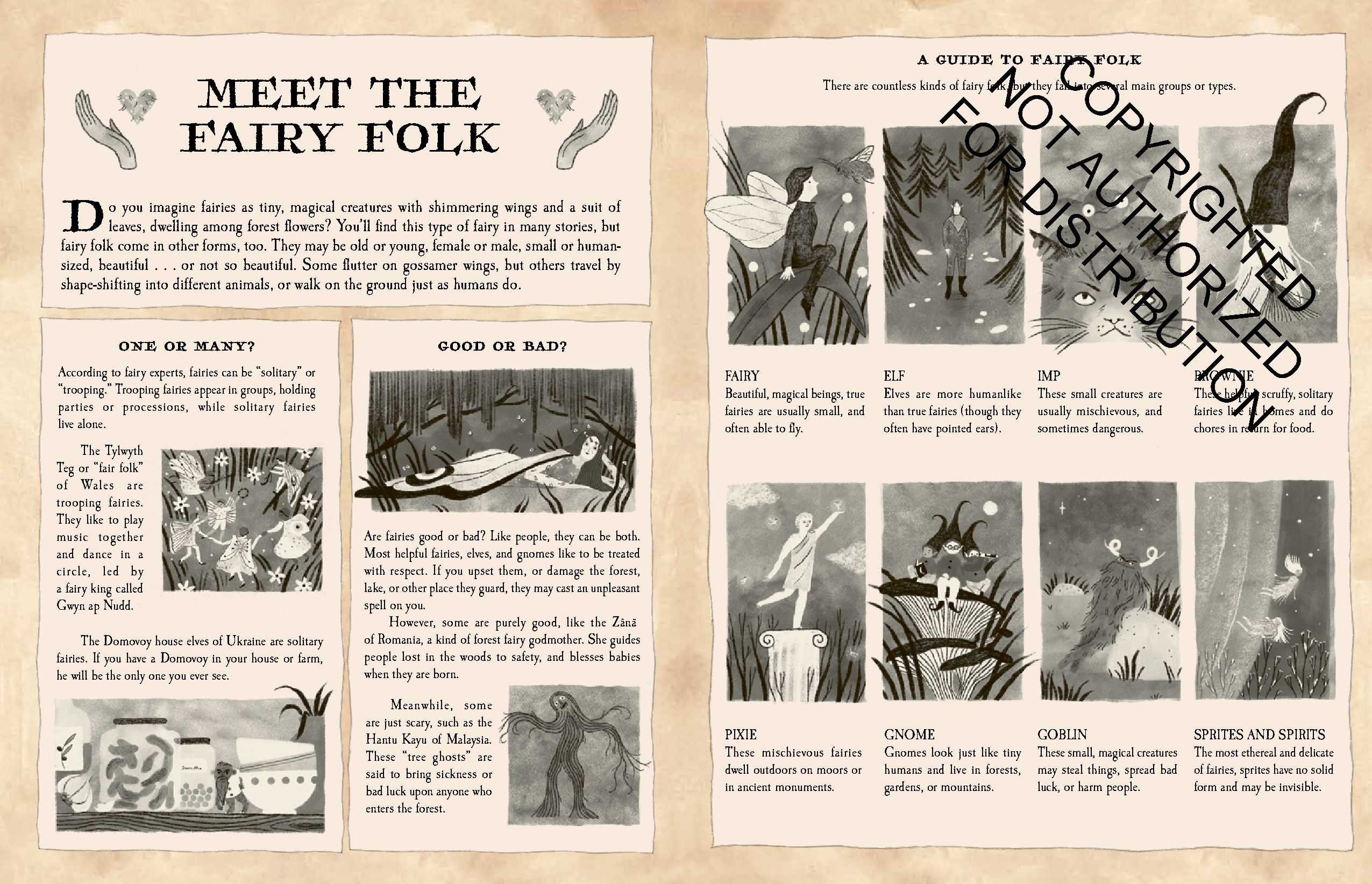 The Fairy Atlas