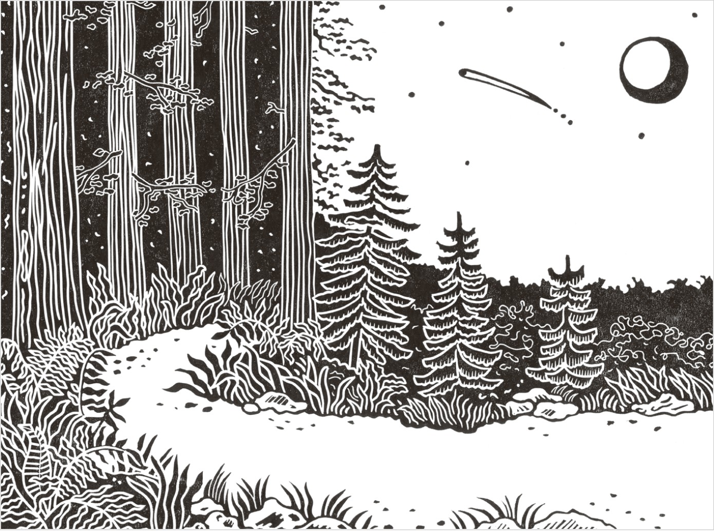 Do Wildness