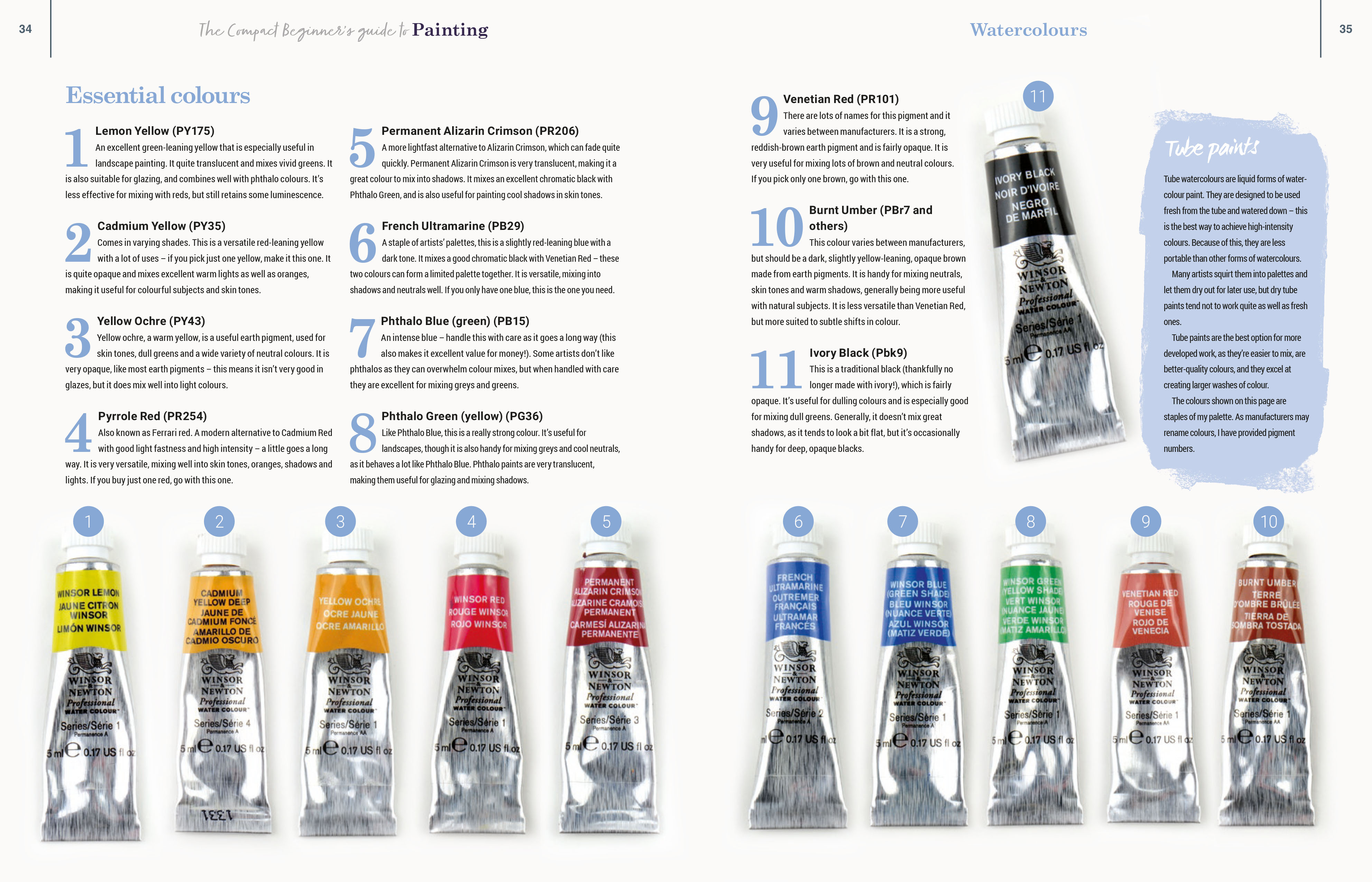 Painting: The Compact Beginner's Guide