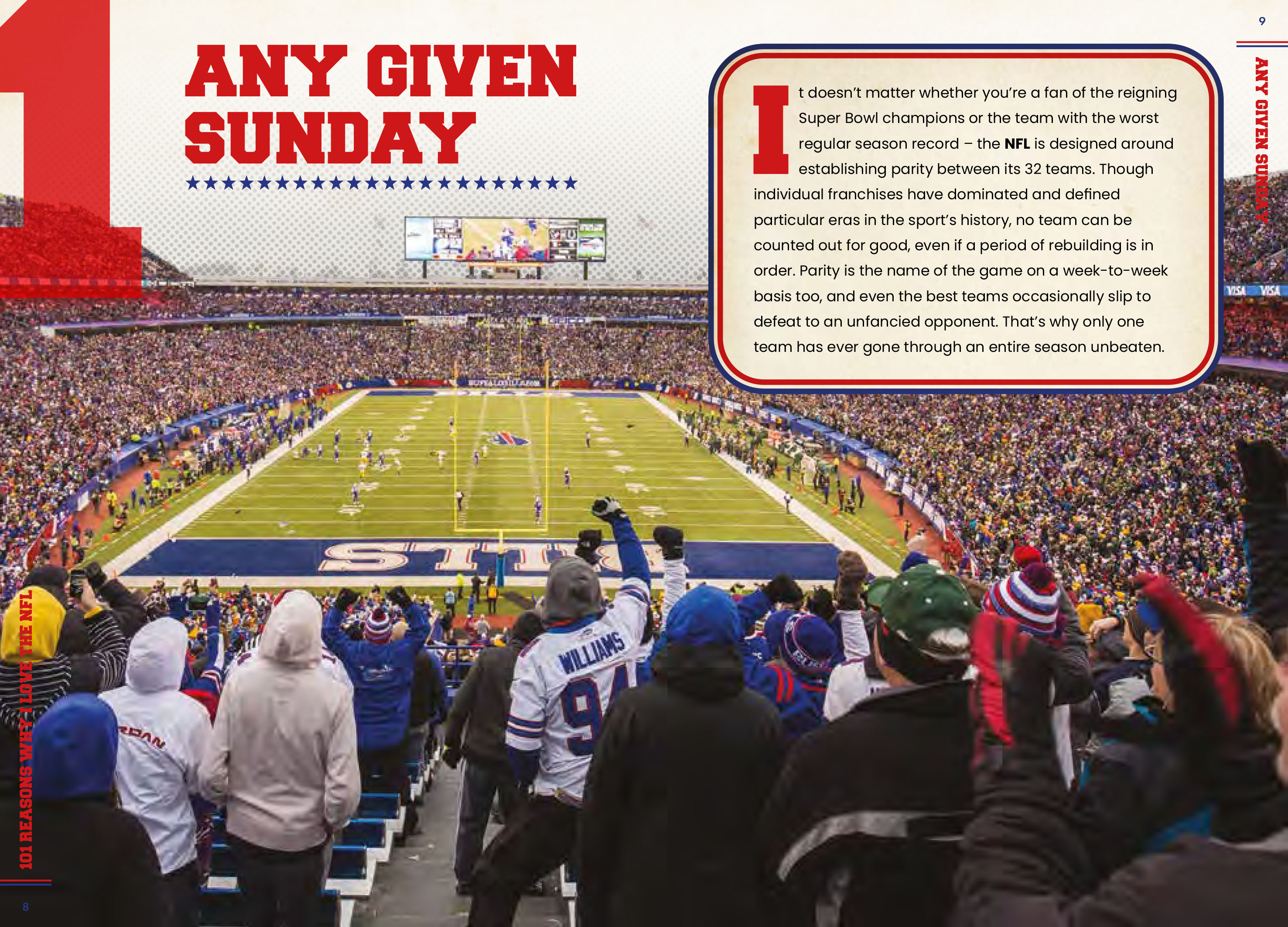 101 Reasons Why I Love the NFL