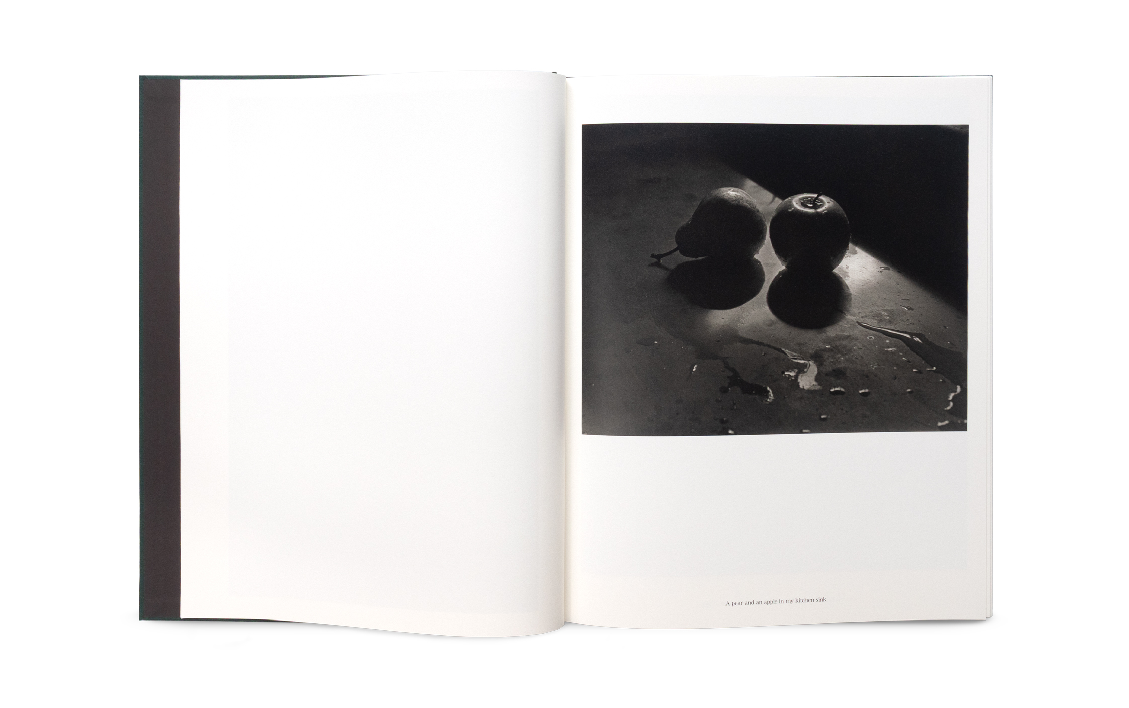 The Stillness of Life