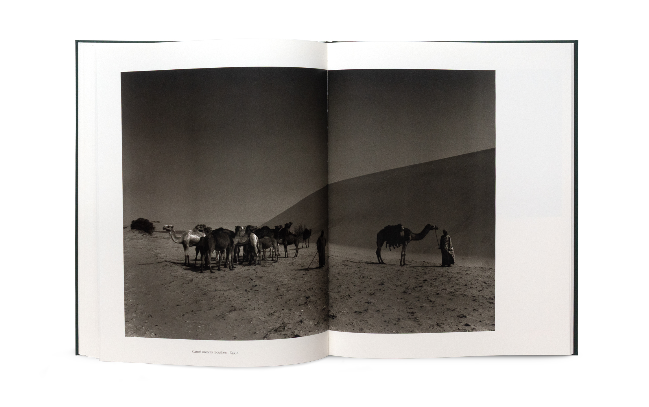 The Stillness of Life