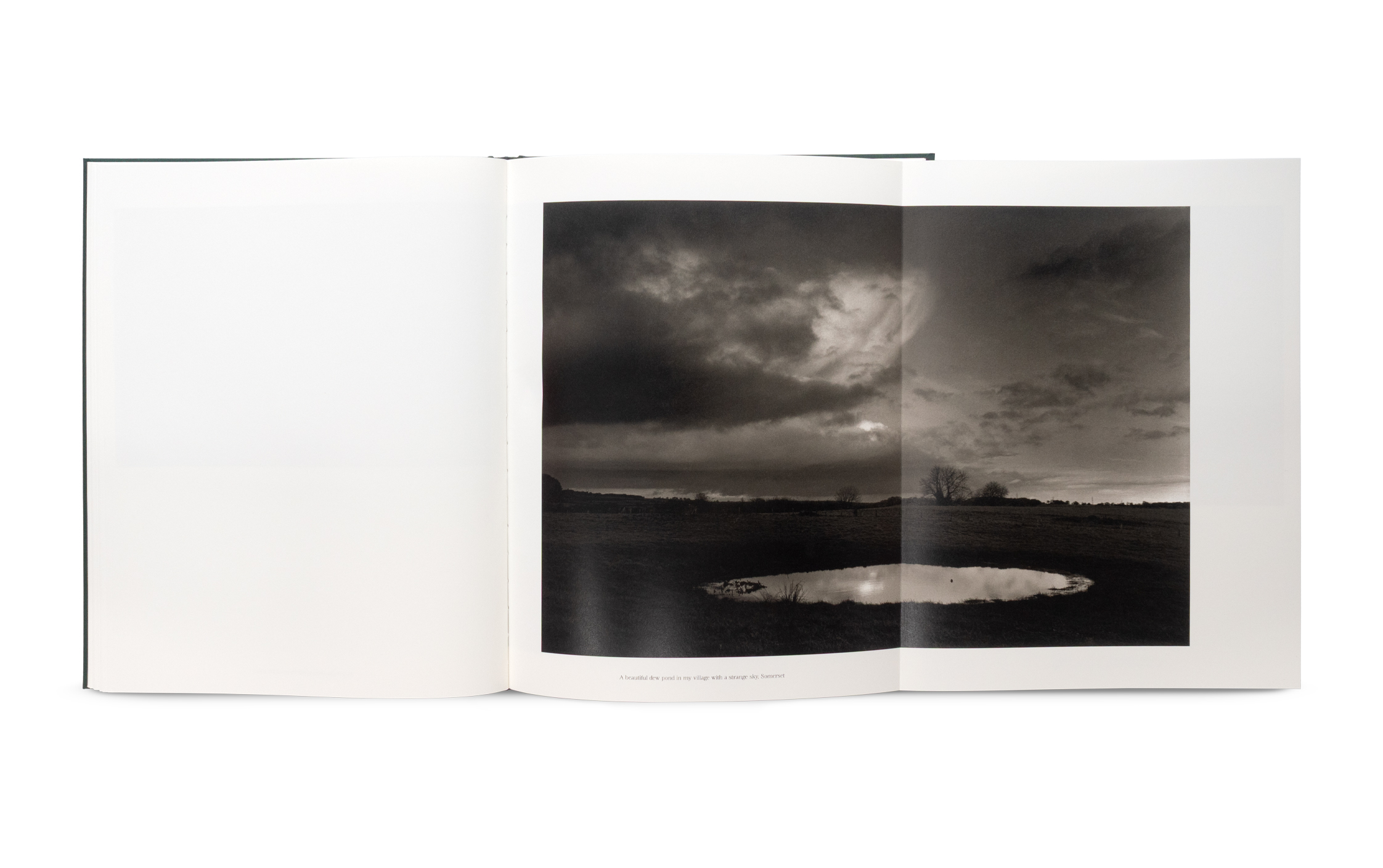 The Stillness of Life